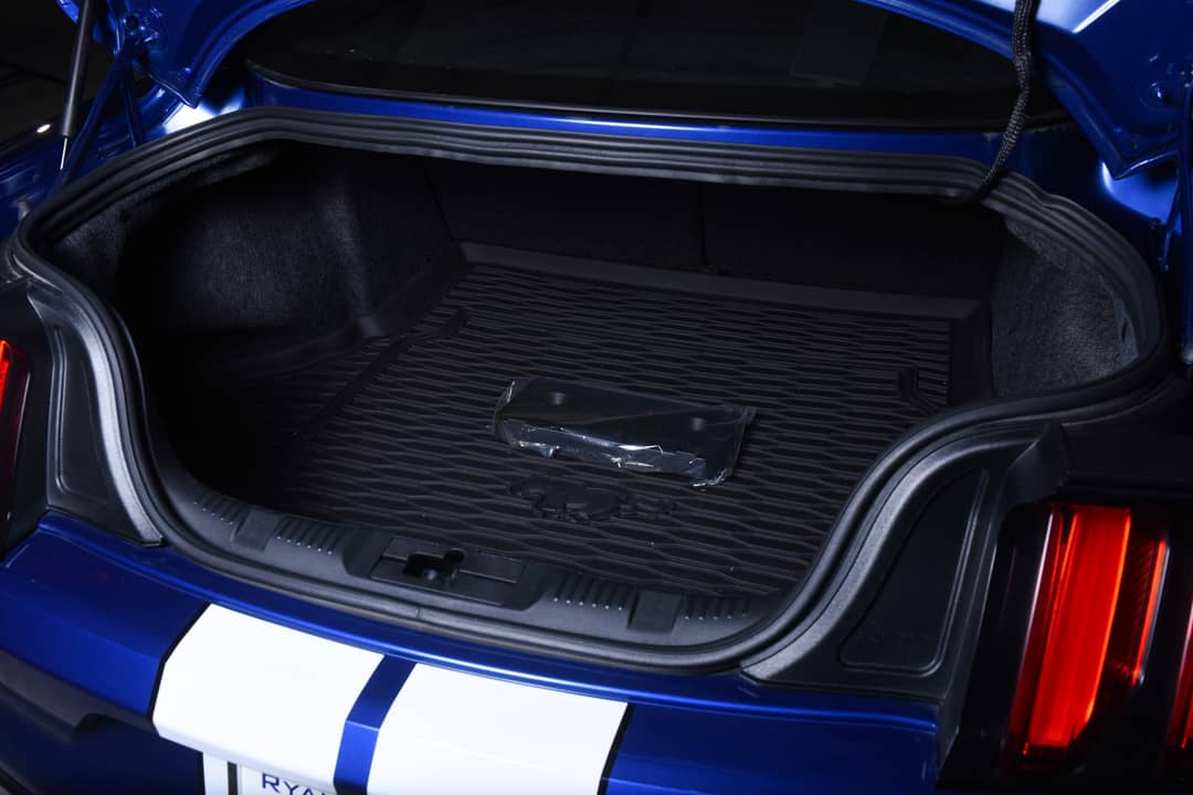 2018 Ford Mustang Shelby GT350 — photo 41