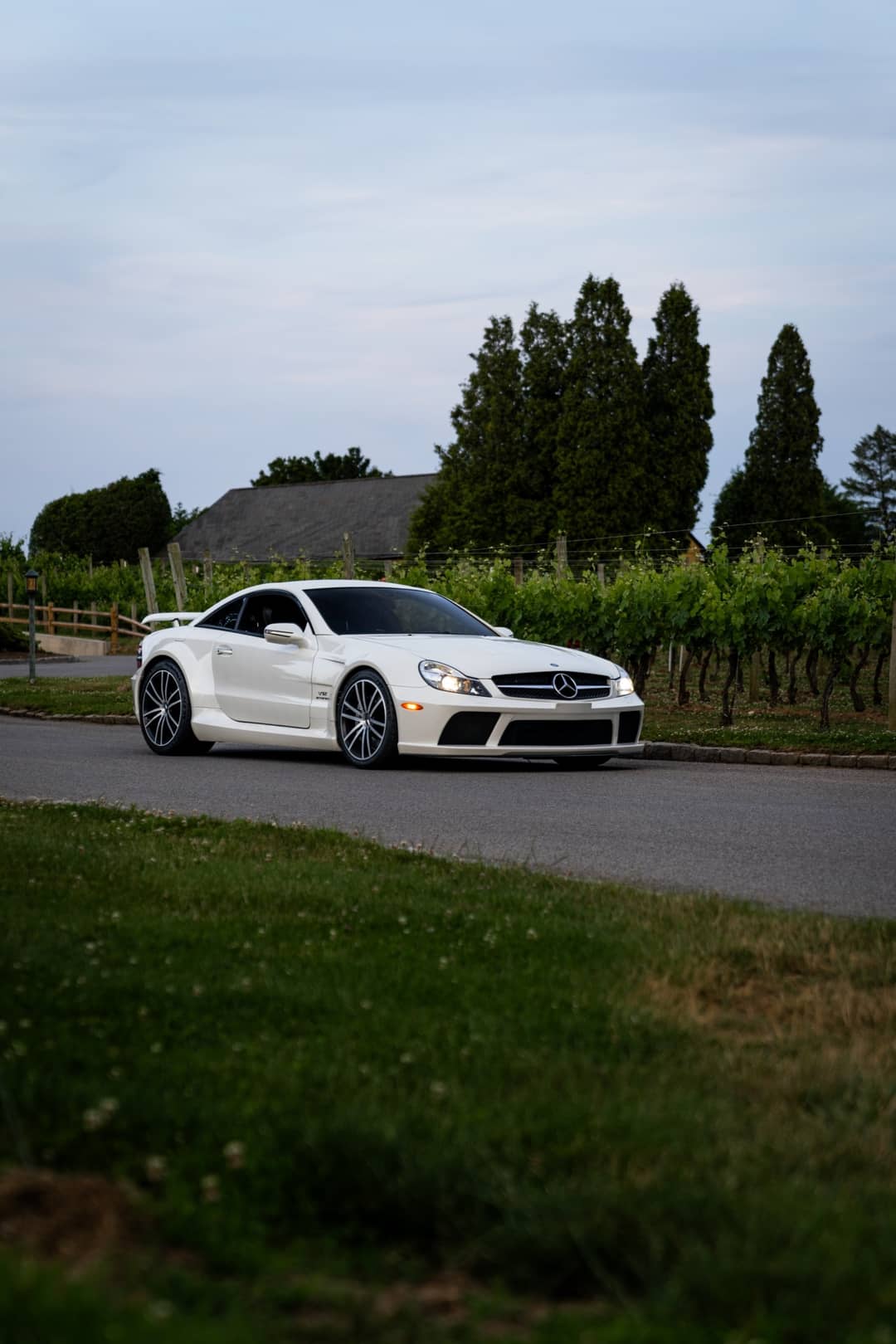2009 Mercedes-Benz SL-Class SL 65 AMG Black Series — photo 15
