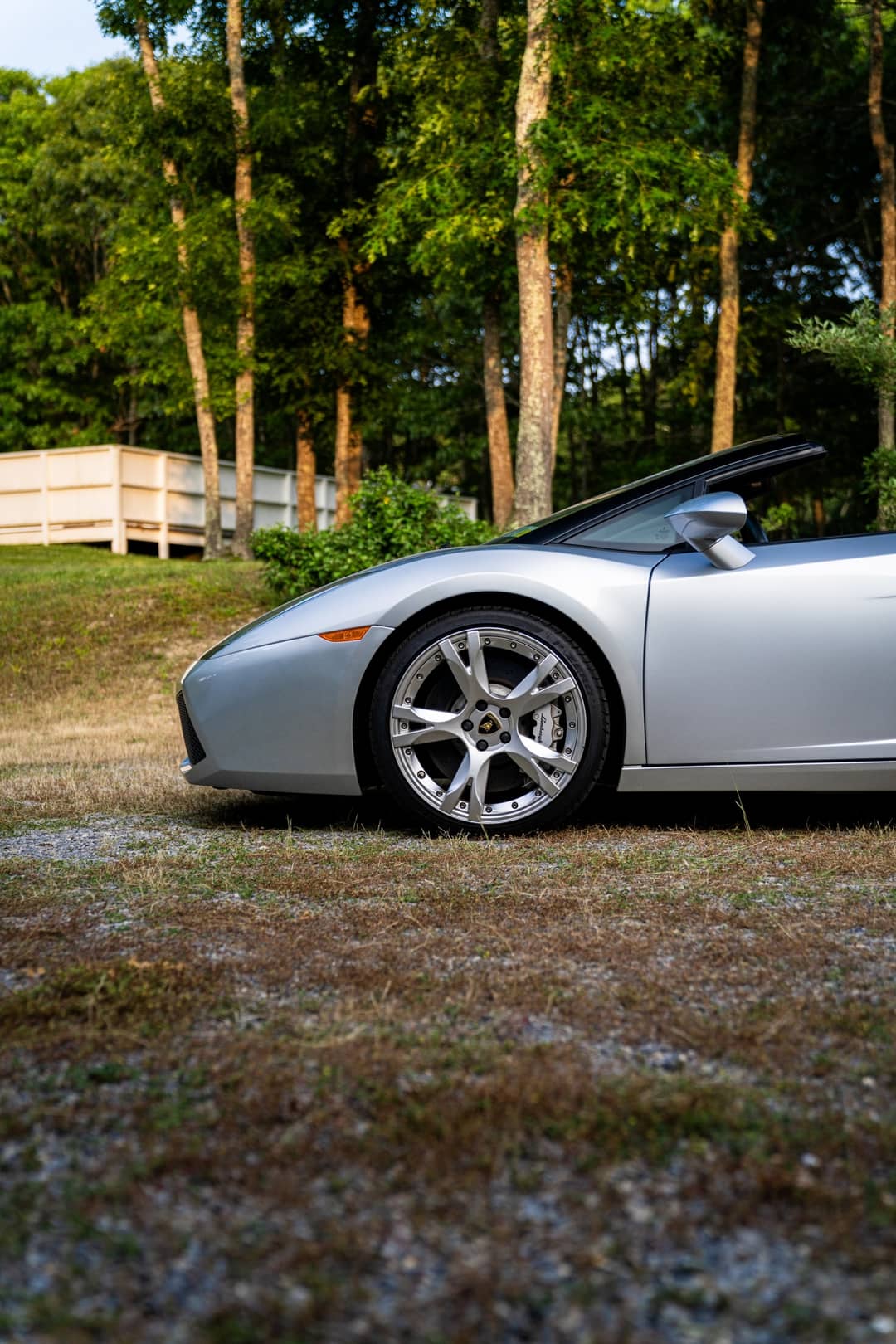 2007 Lamborghini Gallardo Spyder — photo 8