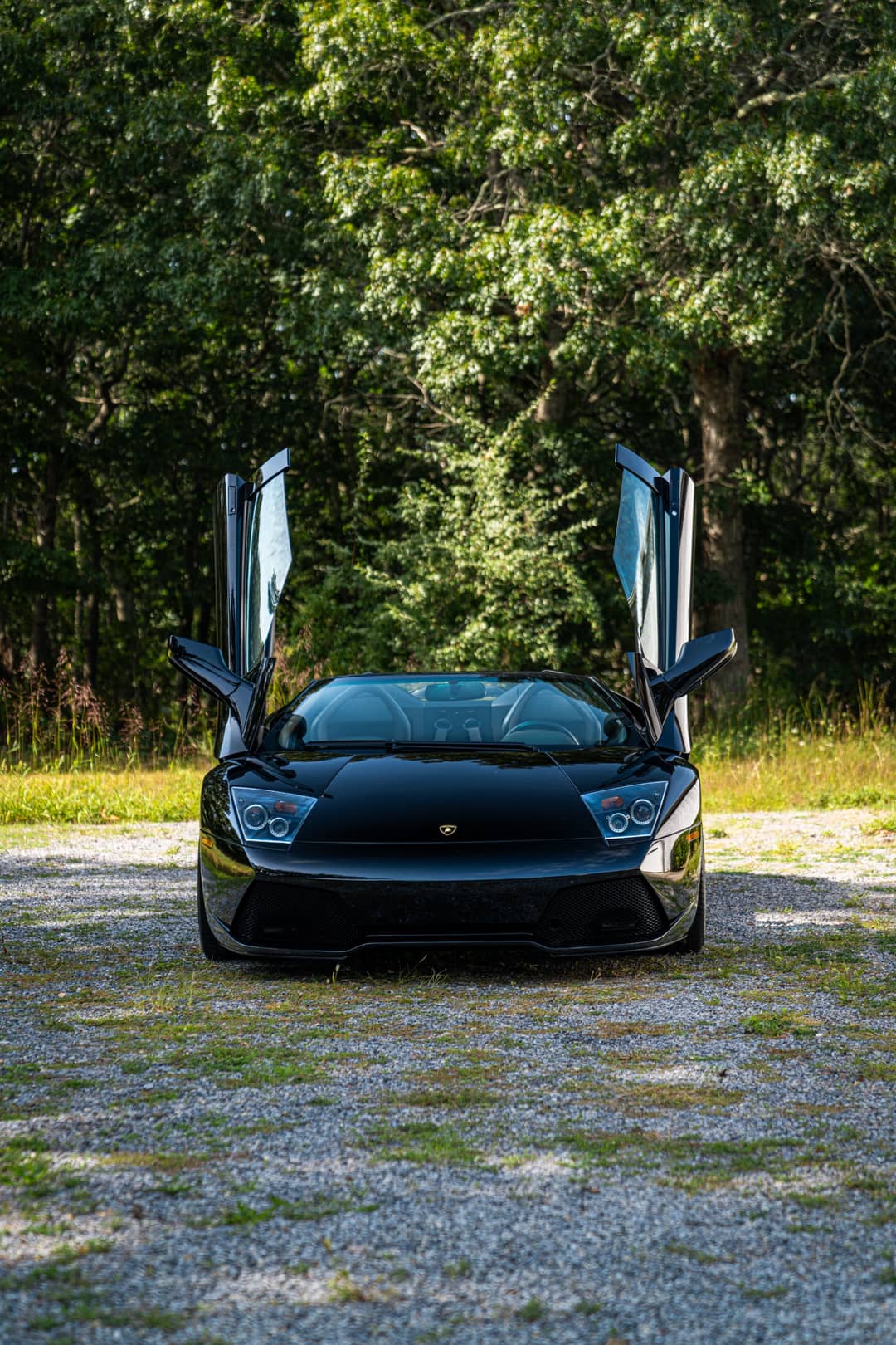 2008 Lamborghini Murcielago LP 640 — photo 8
