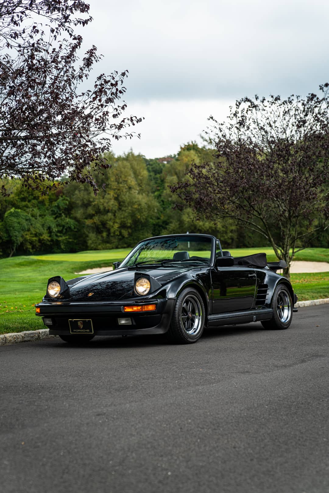 1988 Porsche 911 Carrera Turbo M505 — photo 3