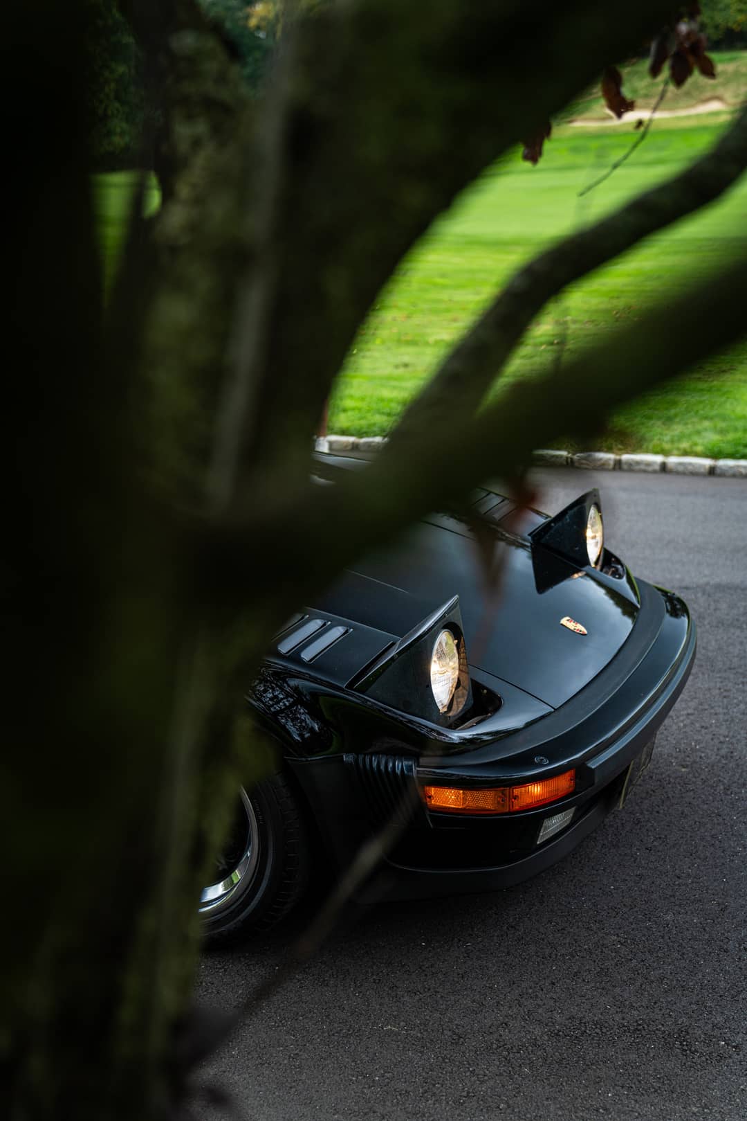 1988 Porsche 911 Carrera Turbo M505 — photo 8