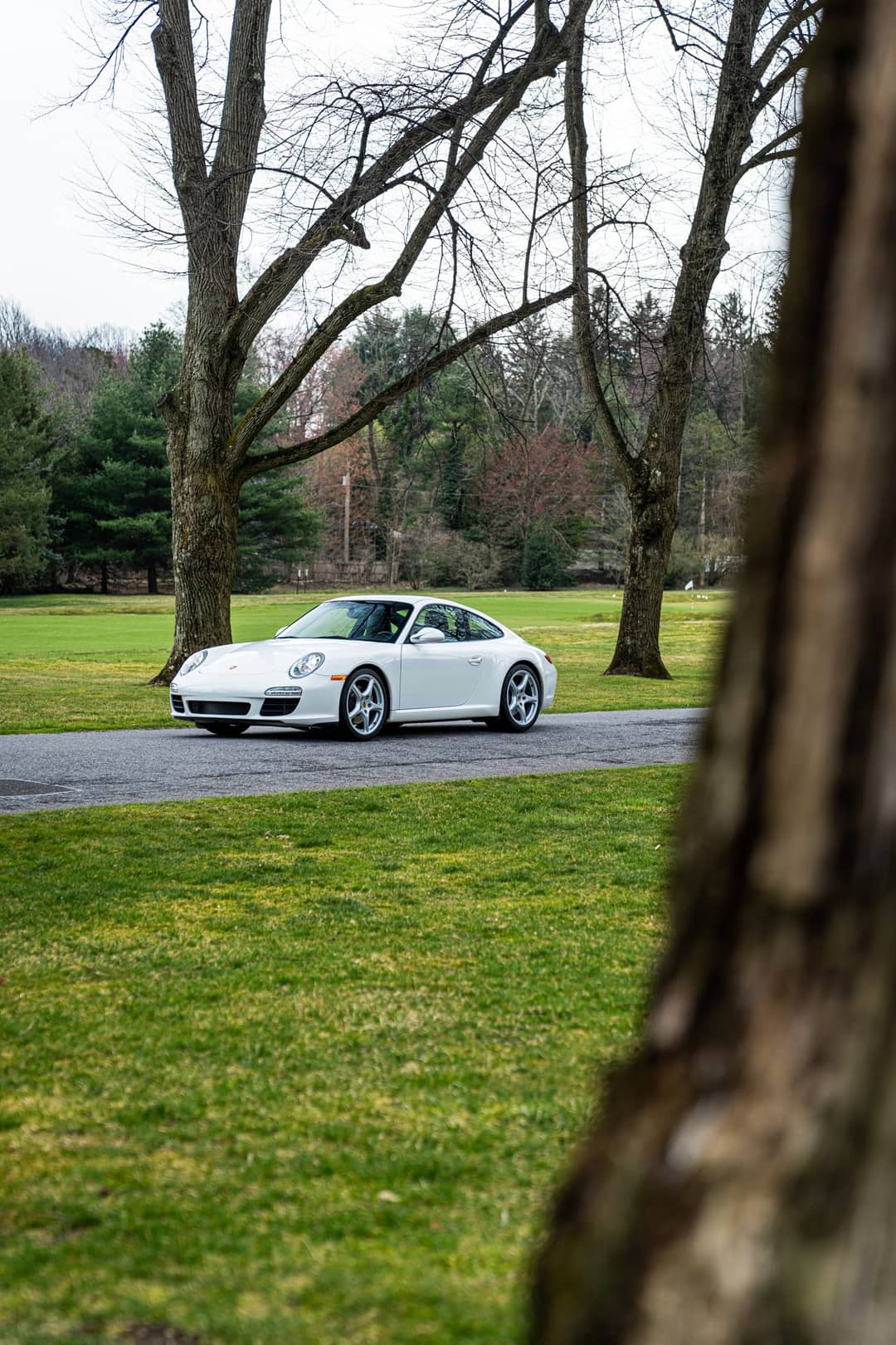 2010 Porsche 911 Carrera — photo 6