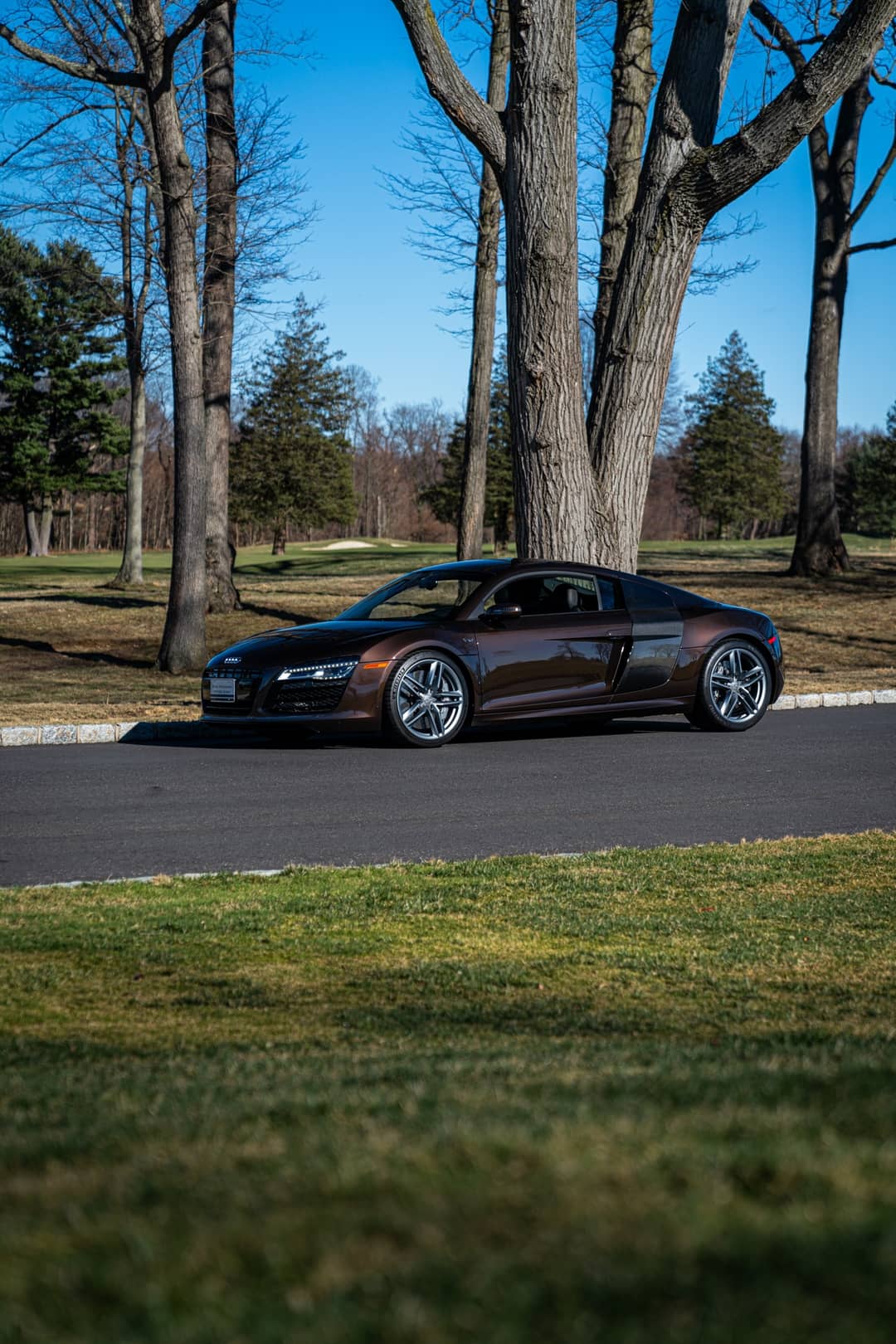 2015 Audi R8 5.2 quattro — photo 2