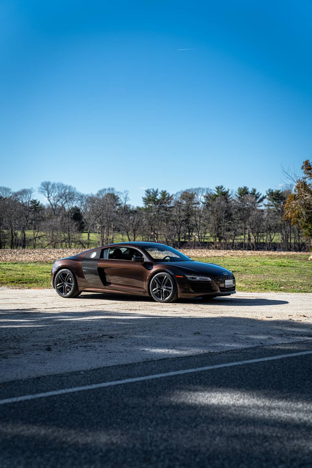 2015 Audi R8 5.2 quattro — photo 11