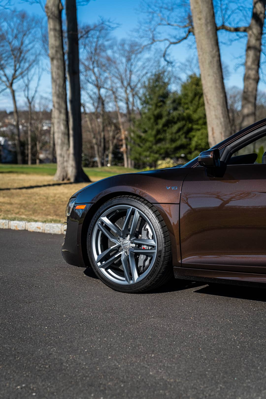 2015 Audi R8 5.2 quattro — photo 6