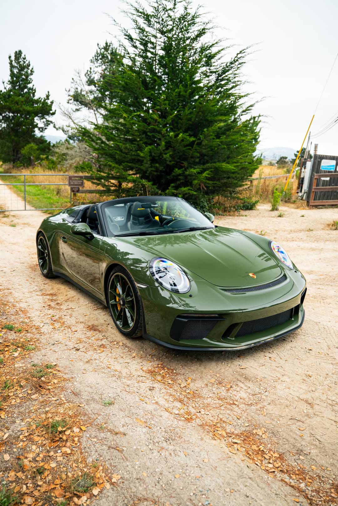 2019 Porsche 911 Speedster — photo 31