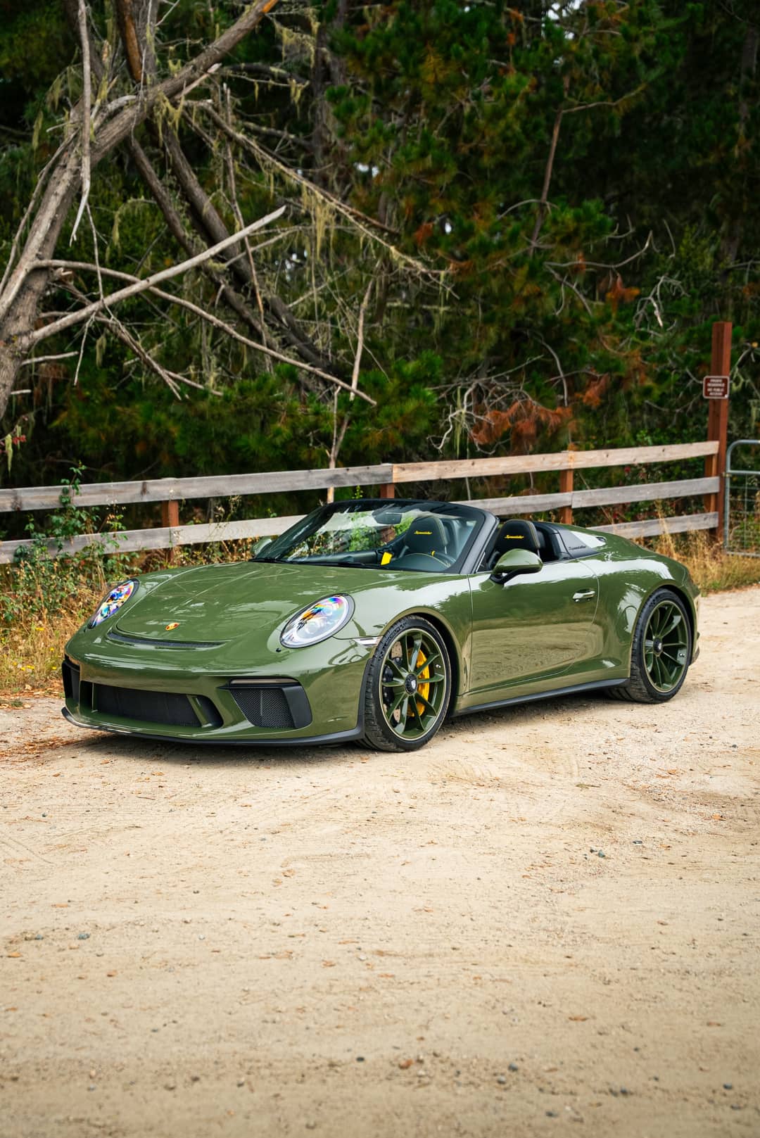 2019 Porsche 911 Speedster — photo 39