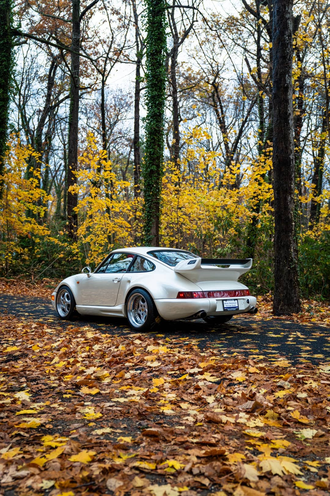 1993 Porsche 911 Gemballa RSR 3.8 — photo 41