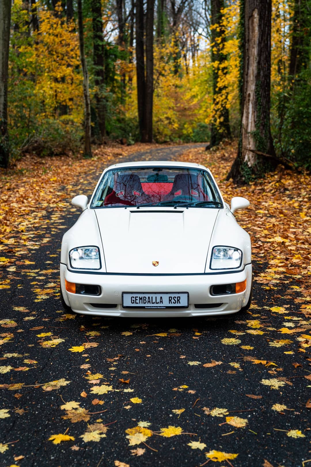 1993 Porsche 911 Gemballa RSR 3.8 — photo 42