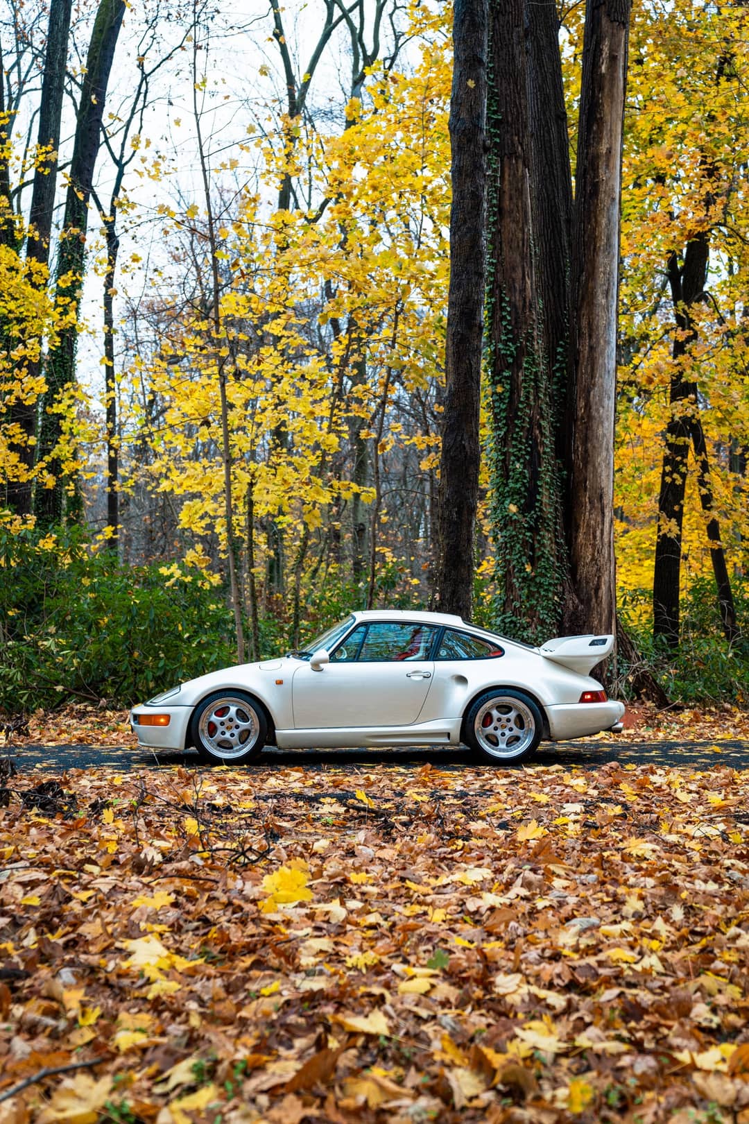 1993 Porsche 911 Gemballa RSR 3.8 — photo 55