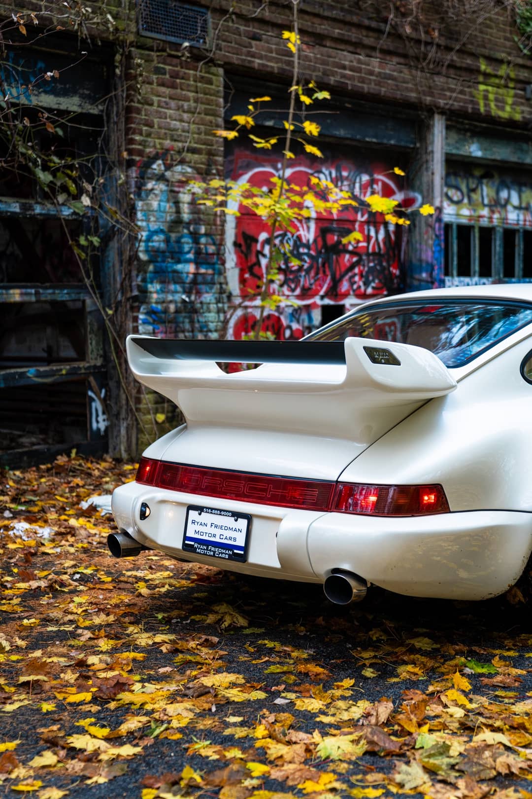 1993 Porsche 911 Gemballa RSR 3.8 — photo 58