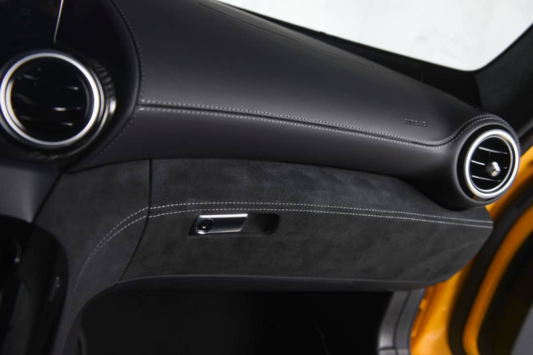 2020 Mercedes-Benz AMG GT R Pro — photo 20