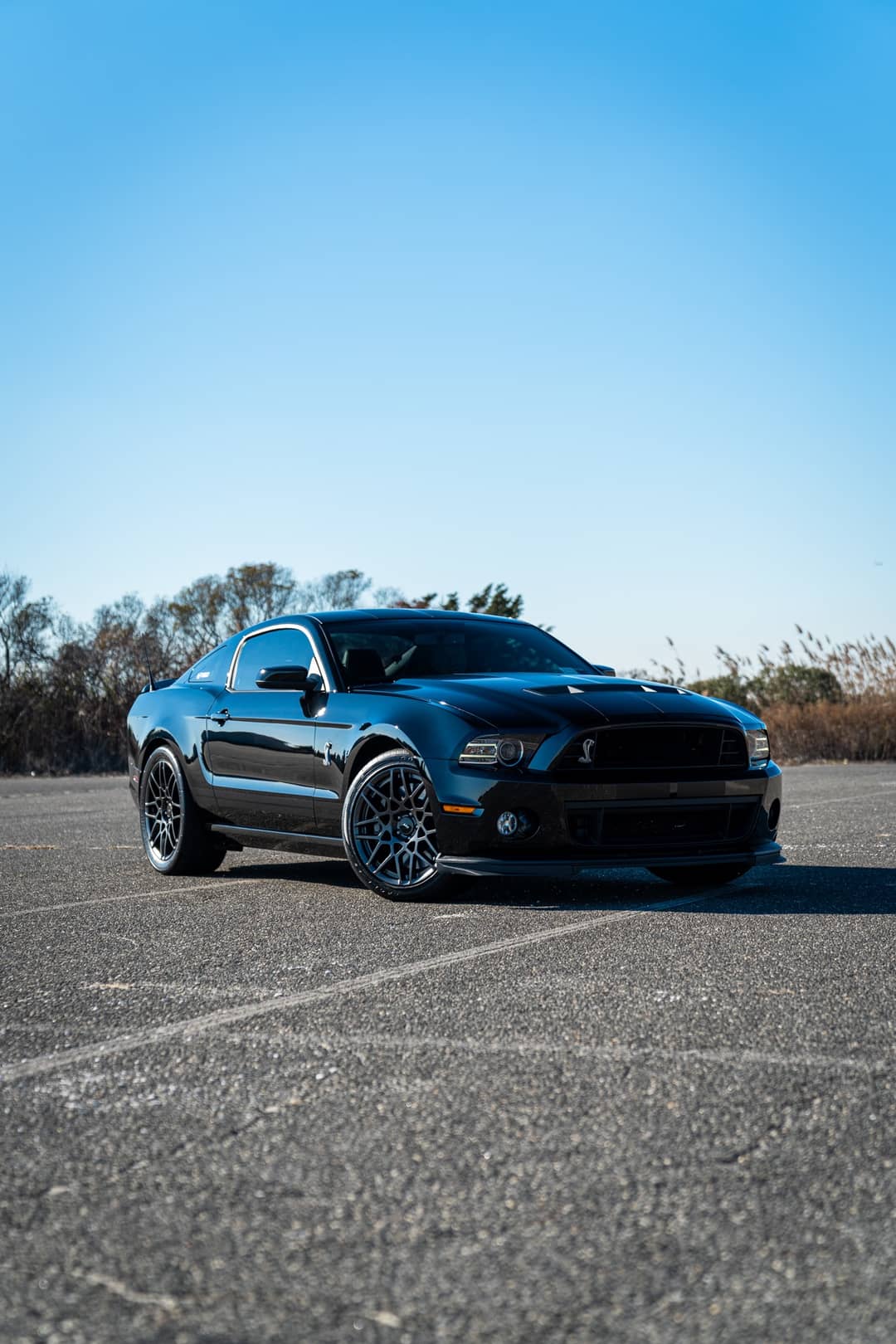 2013 Ford Mustang Shelby GT500 — photo 2