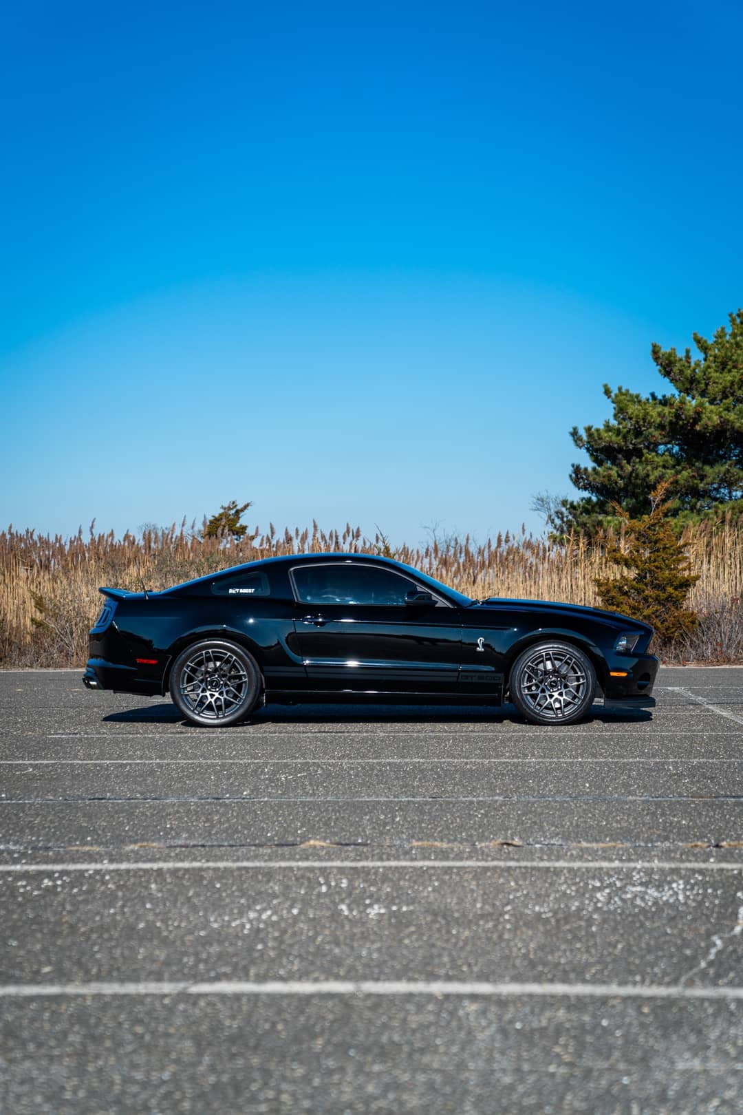 2013 Ford Mustang Shelby GT500 — photo 12