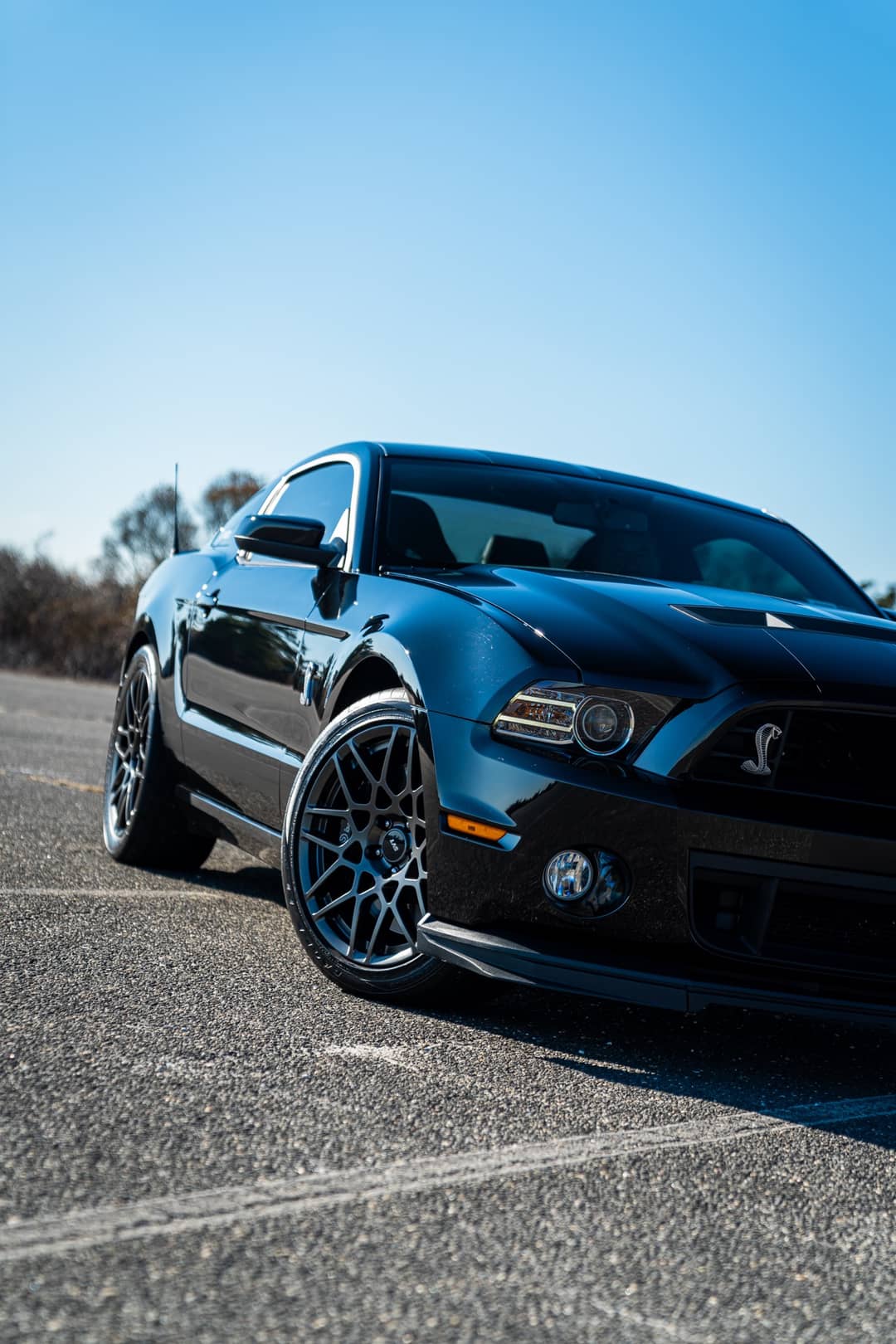 2013 Ford Mustang Shelby GT500 — photo 13