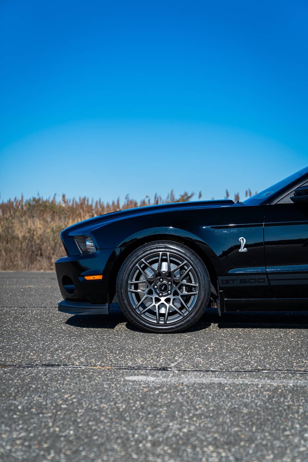 2013 Ford Mustang Shelby GT500 — photo 15