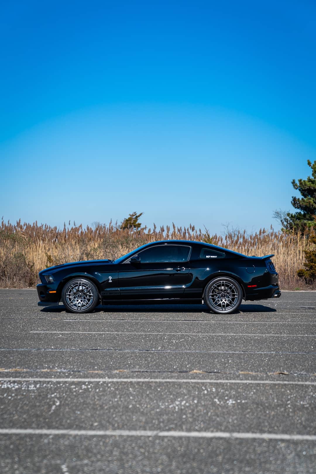 2013 Ford Mustang Shelby GT500 — photo 16