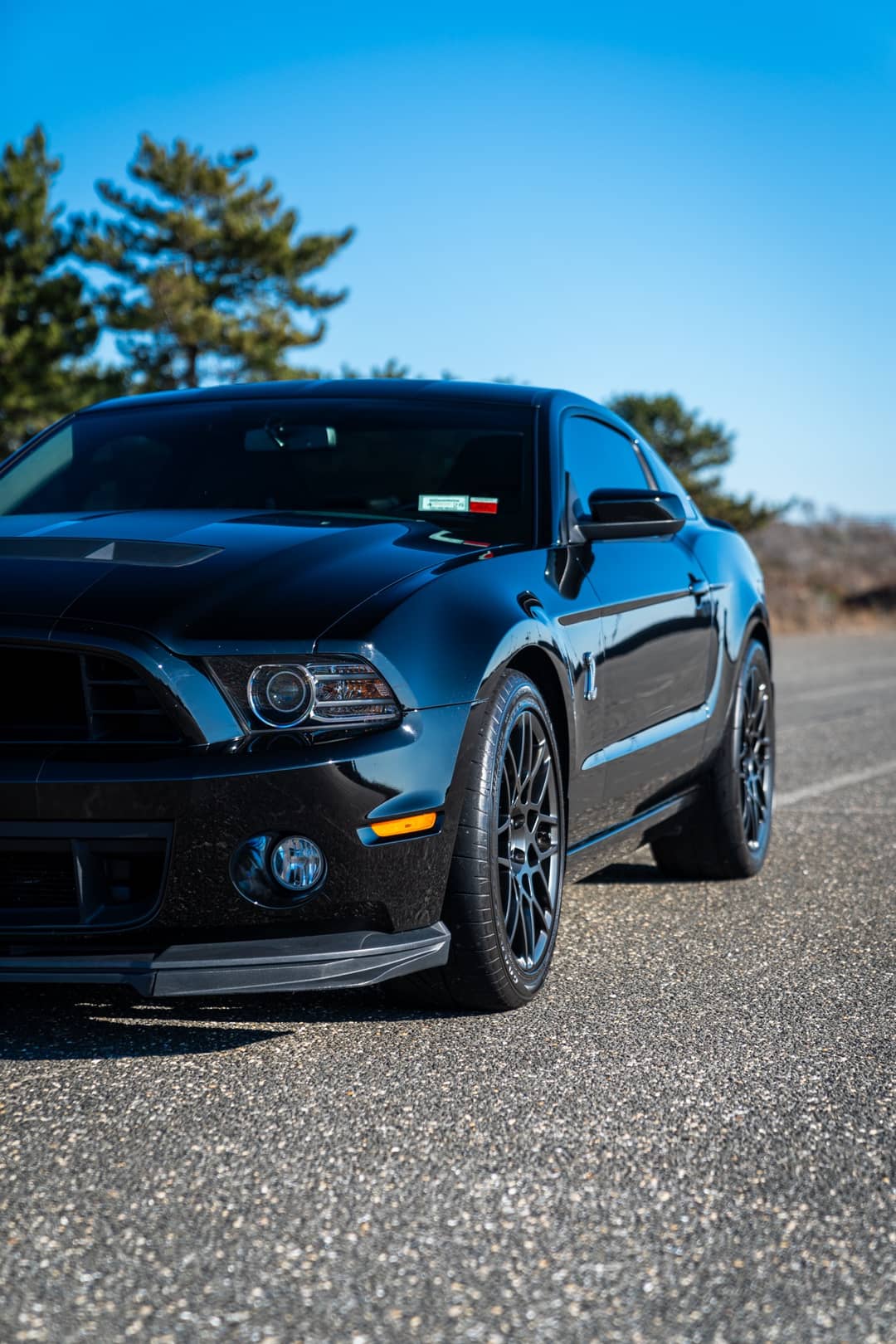 2013 Ford Mustang Shelby GT500 — photo 17