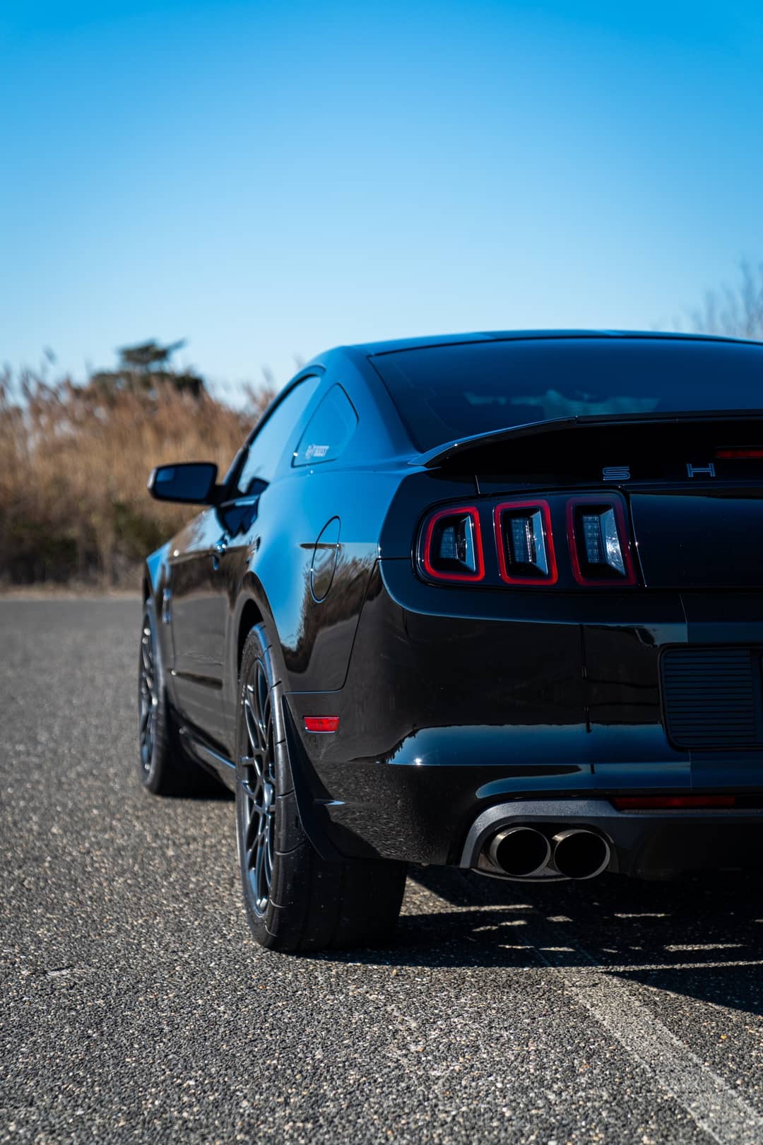 2013 Ford Mustang Shelby GT500 — photo 18