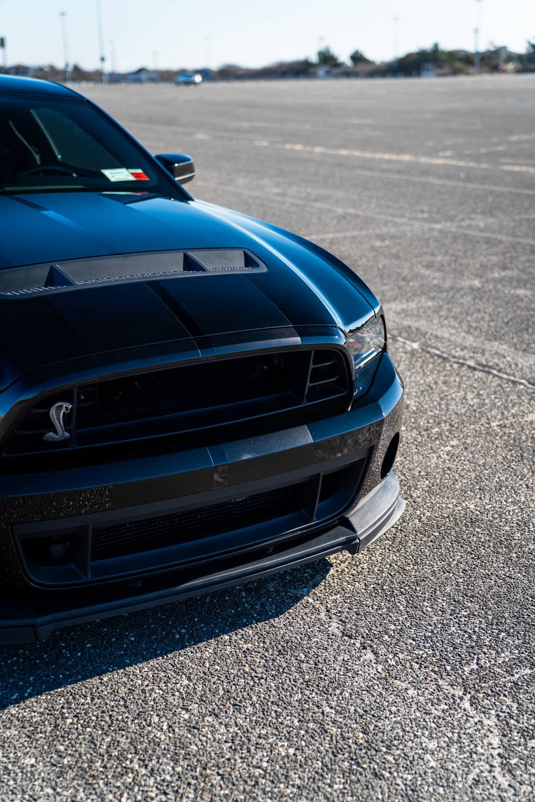 2013 Ford Mustang Shelby GT500 — photo 20