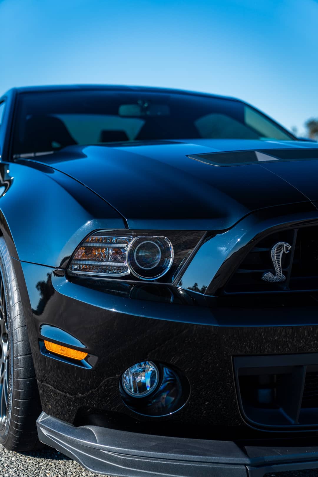 2013 Ford Mustang Shelby GT500 — photo 21
