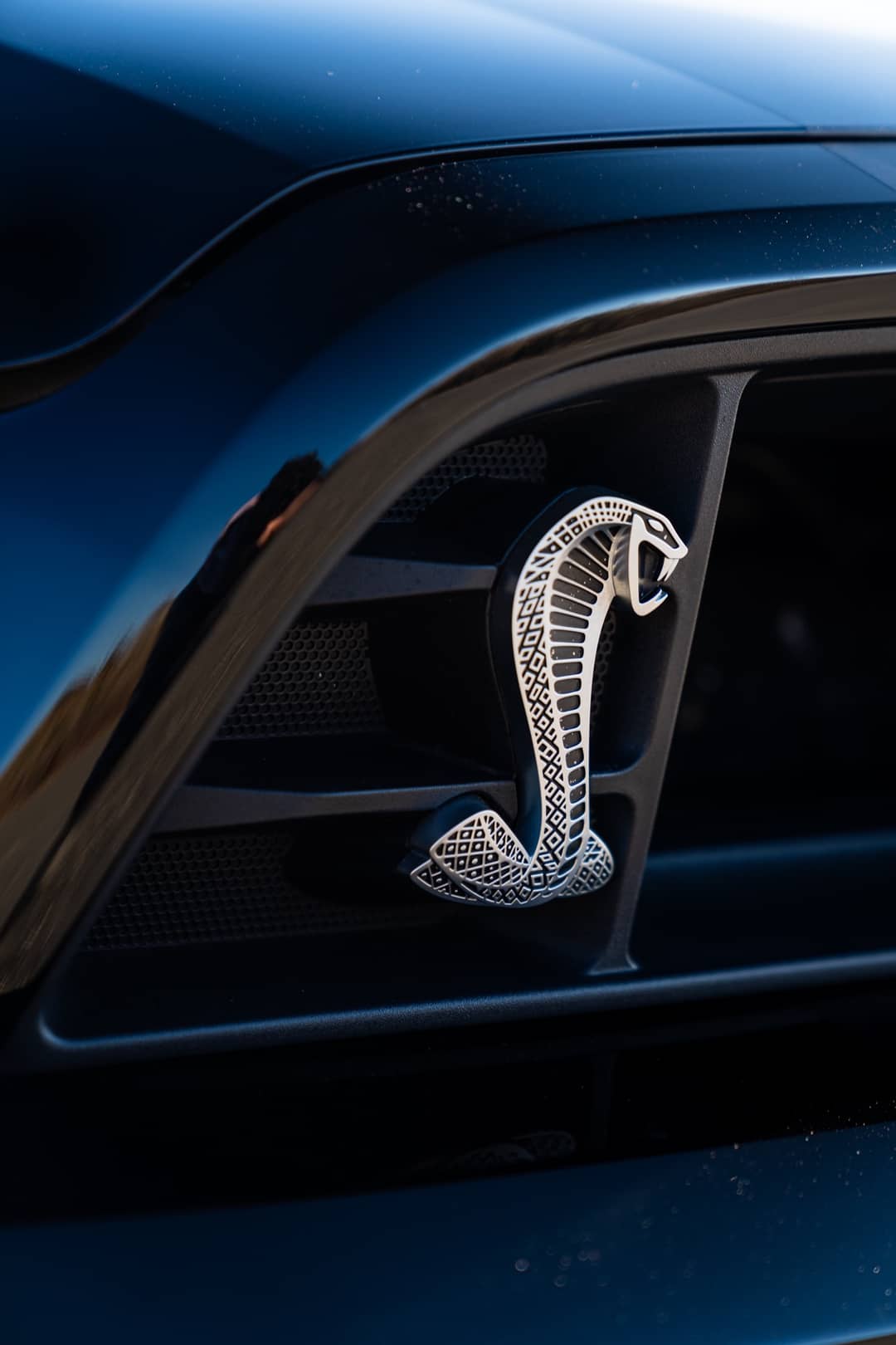 2013 Ford Mustang Shelby GT500 — photo 22