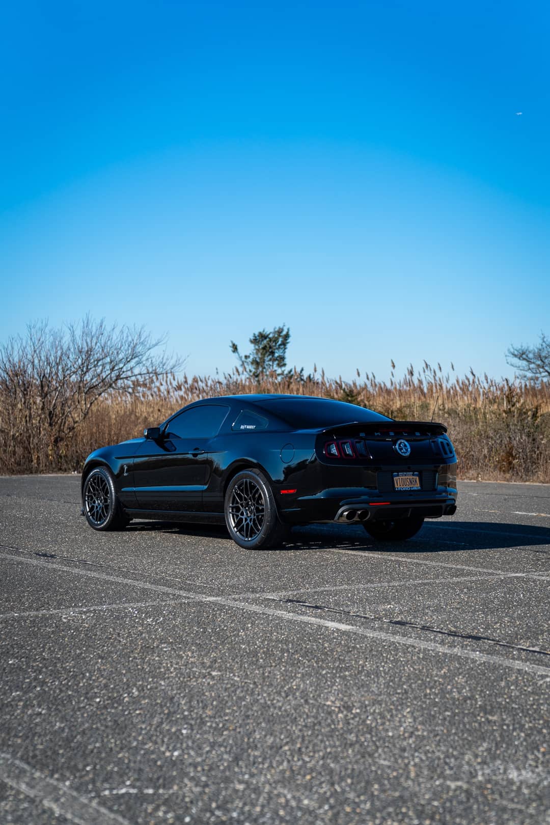 2013 Ford Mustang Shelby GT500 — photo 5