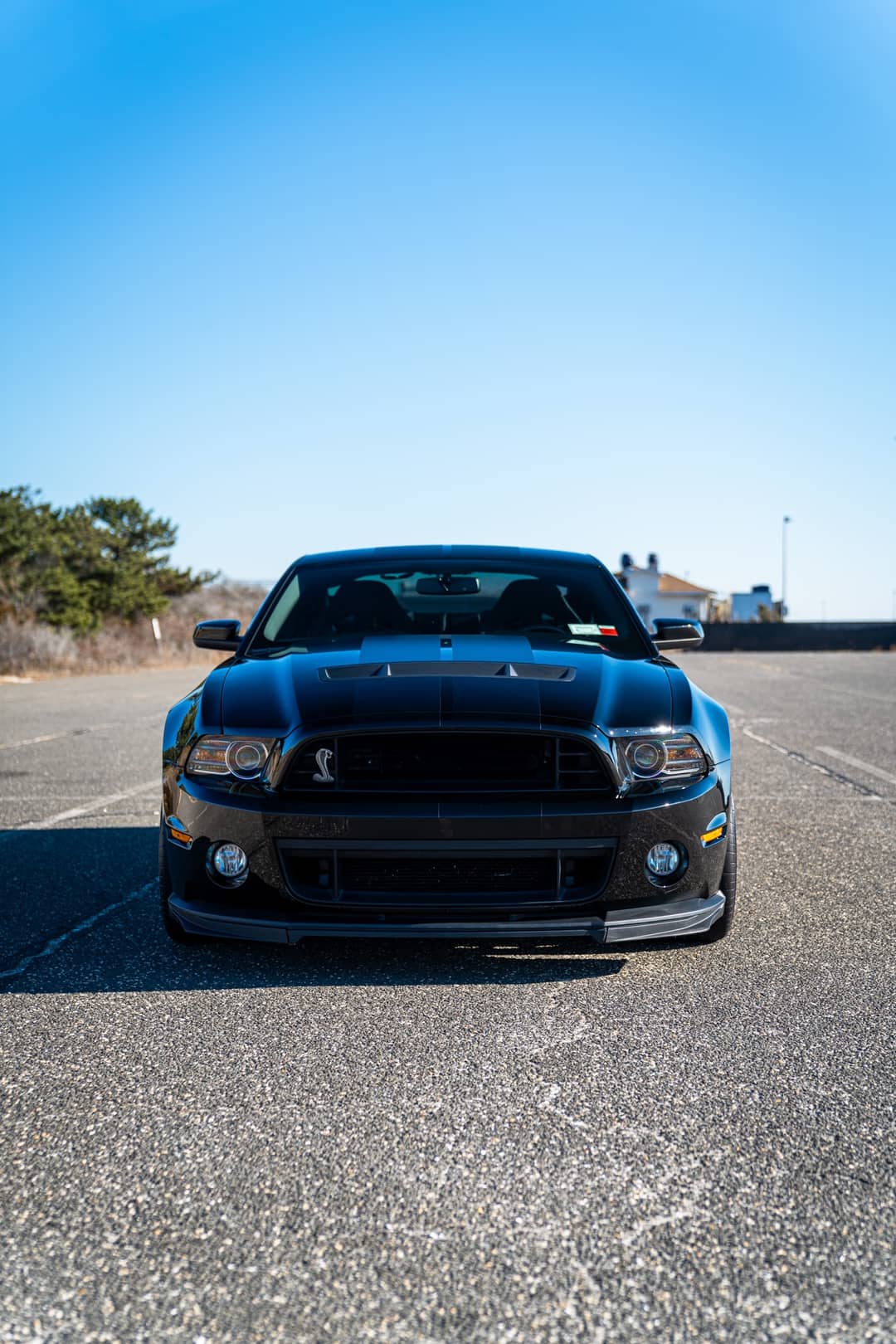 2013 Ford Mustang Shelby GT500 — photo 6