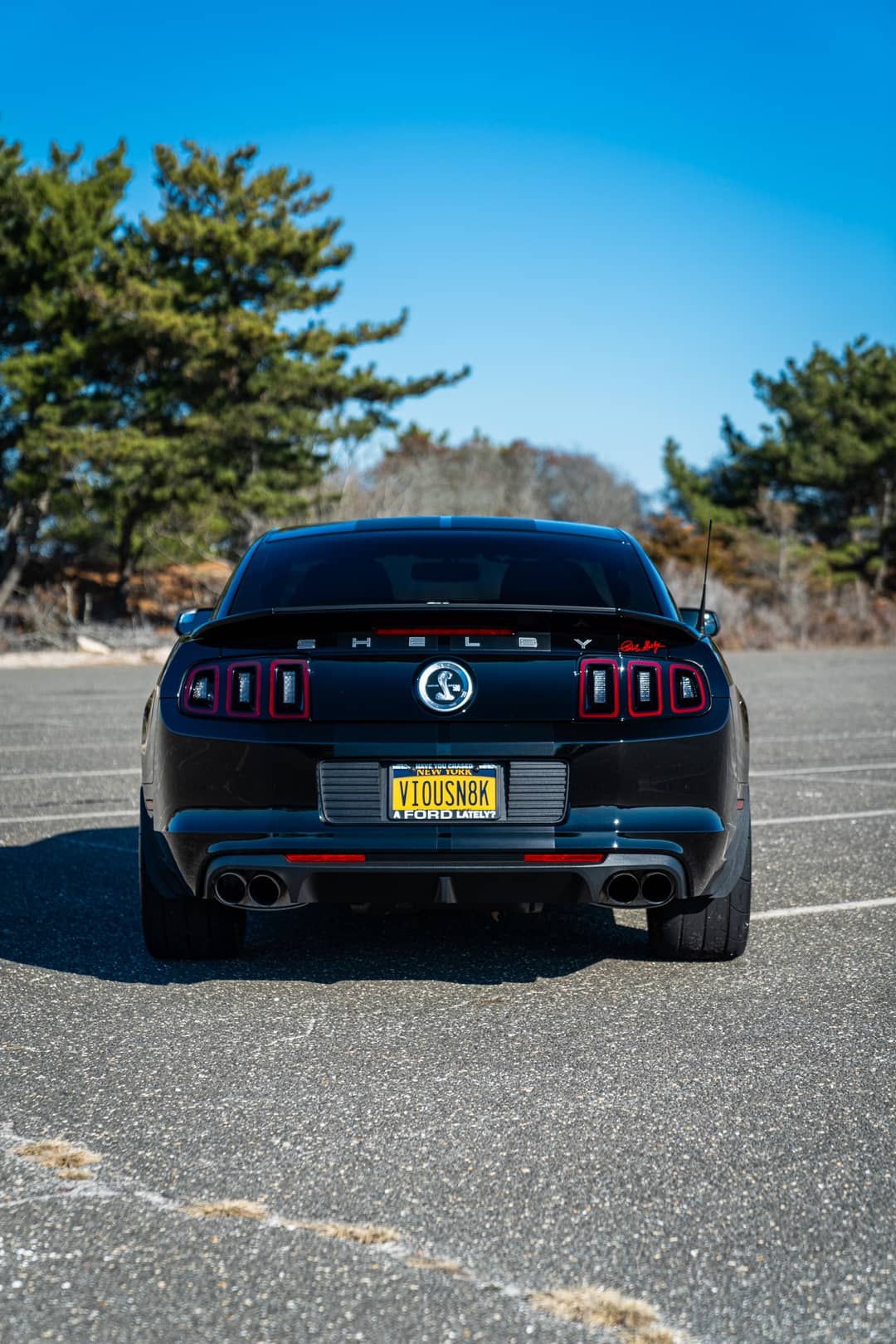 2013 Ford Mustang Shelby GT500 — photo 7