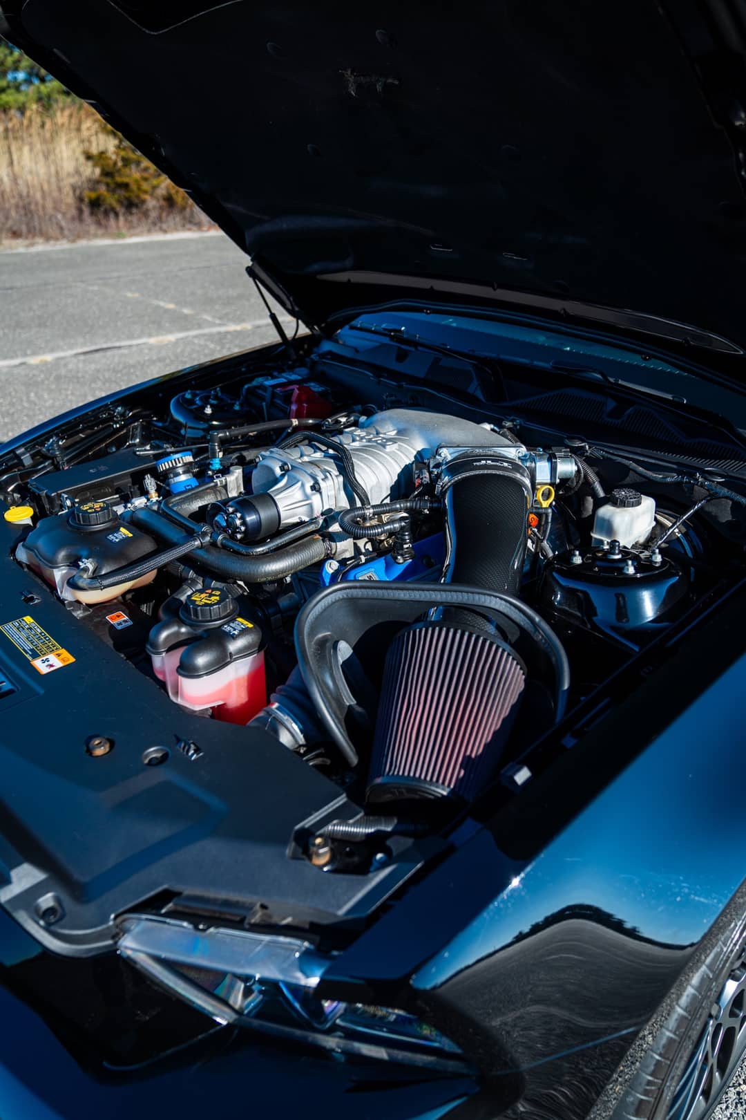 2013 Ford Mustang Shelby GT500 — photo 8