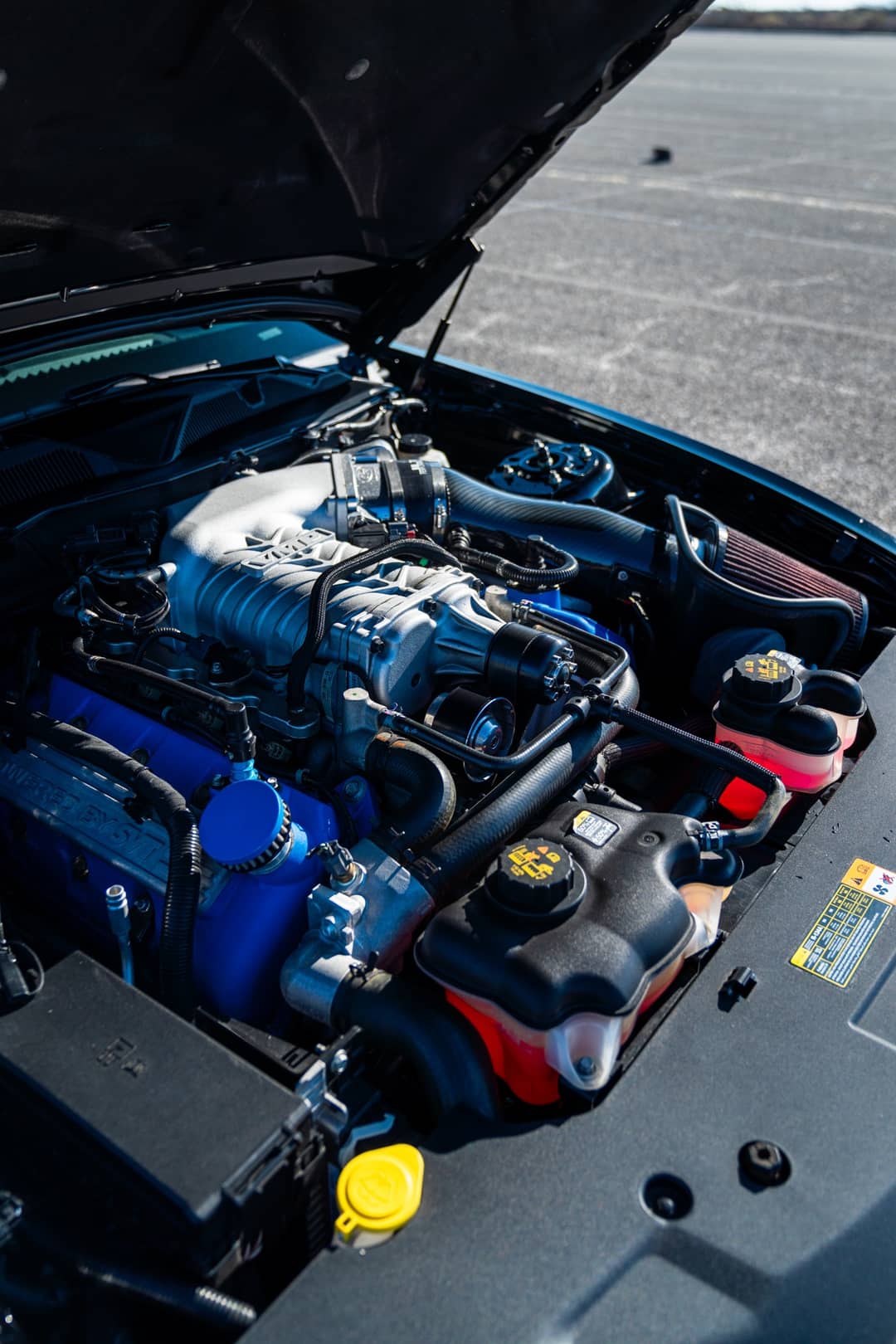 2013 Ford Mustang Shelby GT500 — photo 9