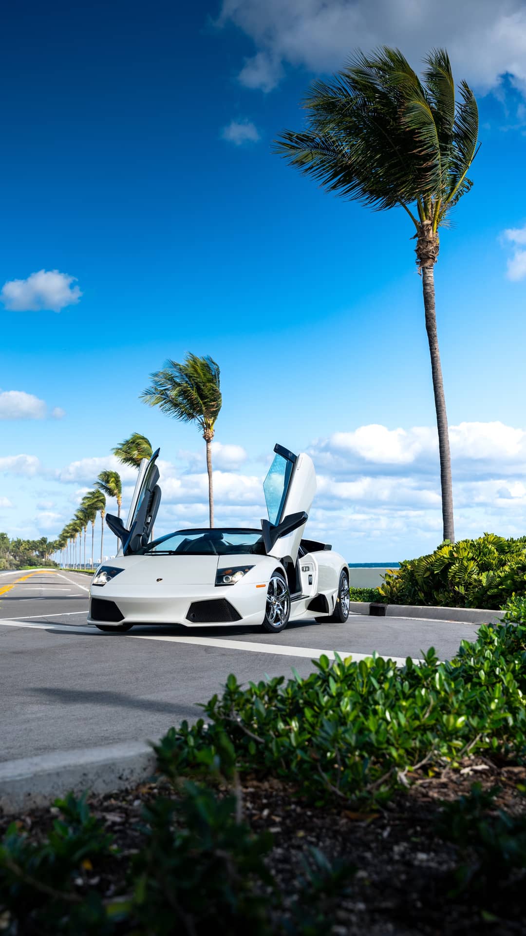 2008 Lamborghini Murcielago LP 640 — photo 50