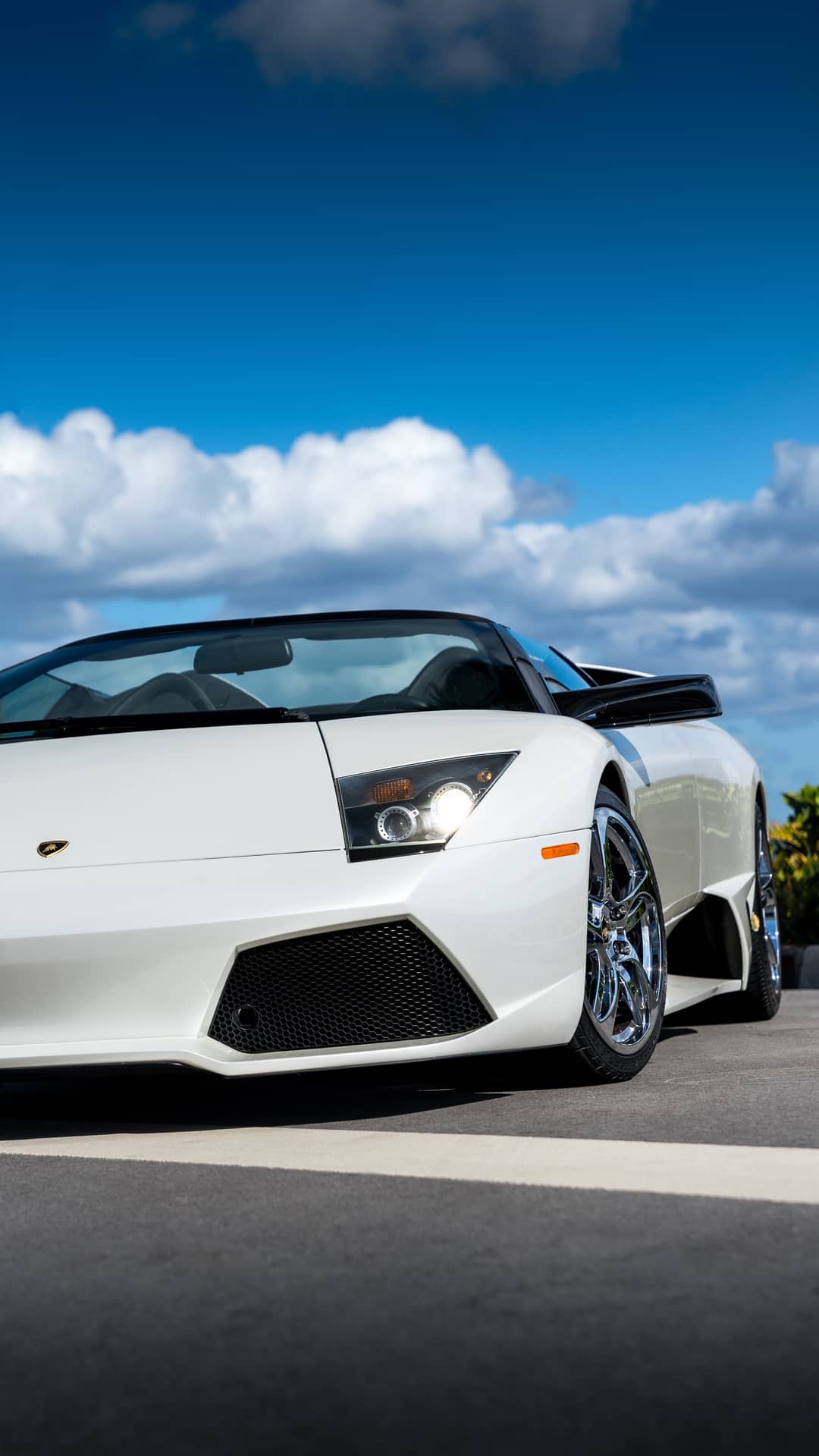 2008 Lamborghini Murcielago LP 640 — photo 51