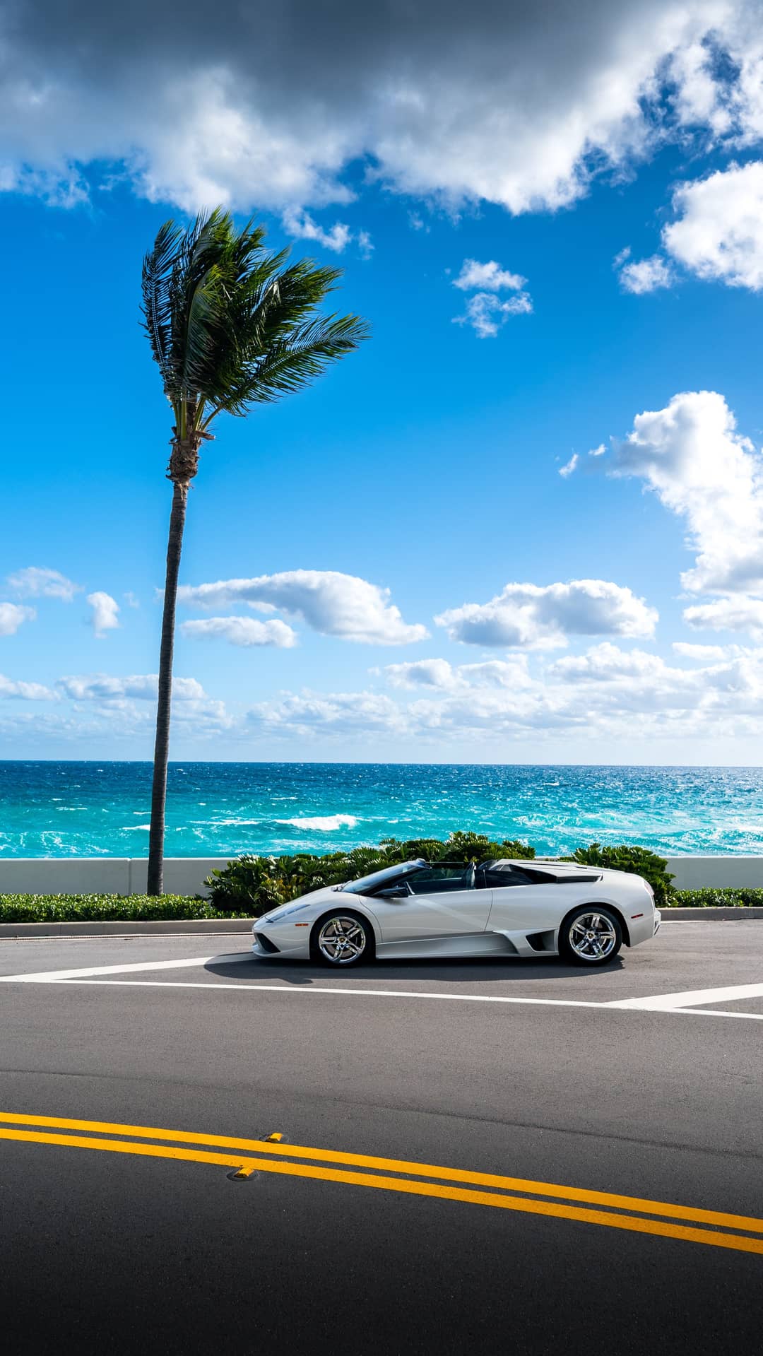 2008 Lamborghini Murcielago LP 640 — photo 52