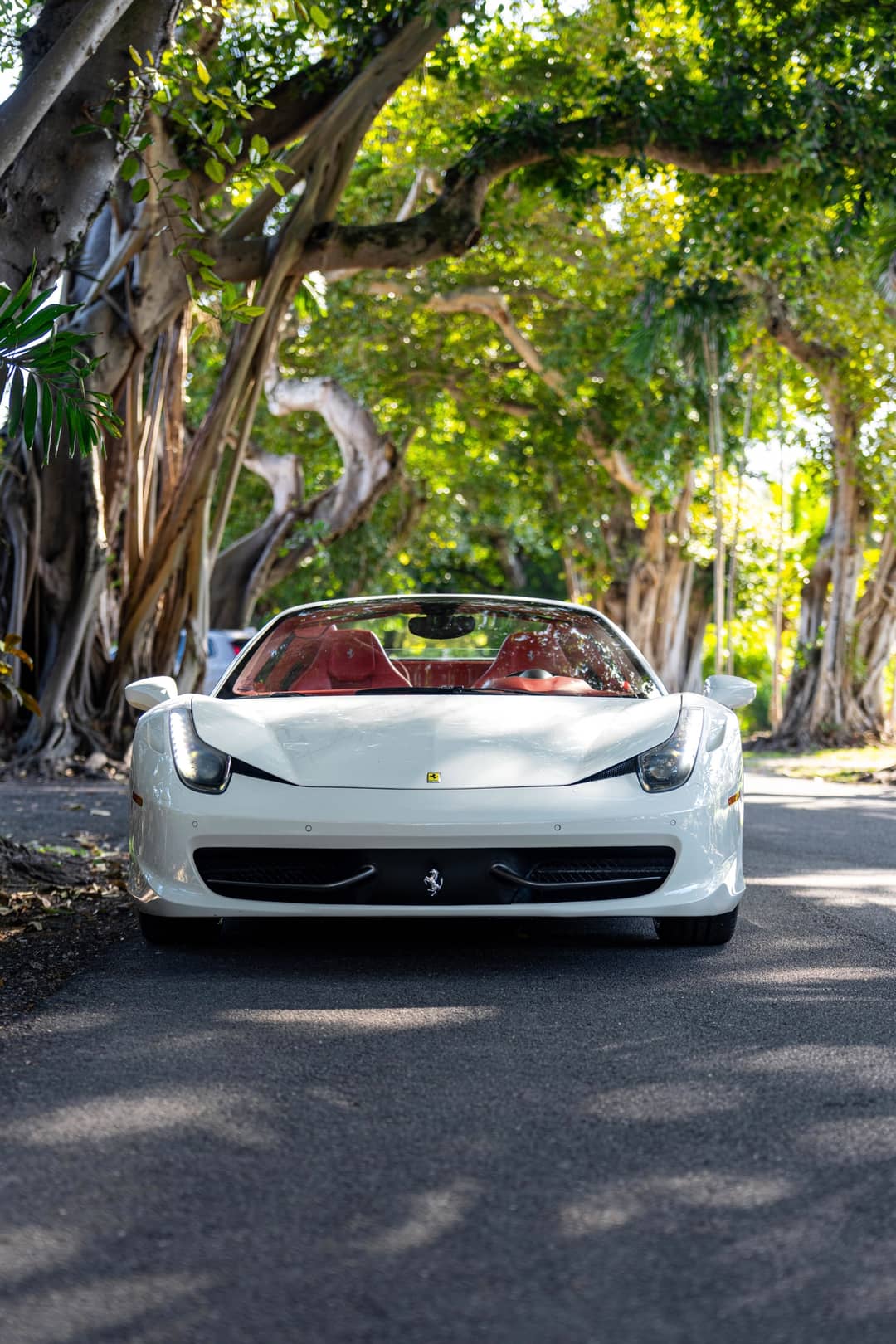 2013 Ferrari 458 Spider — photo 9
