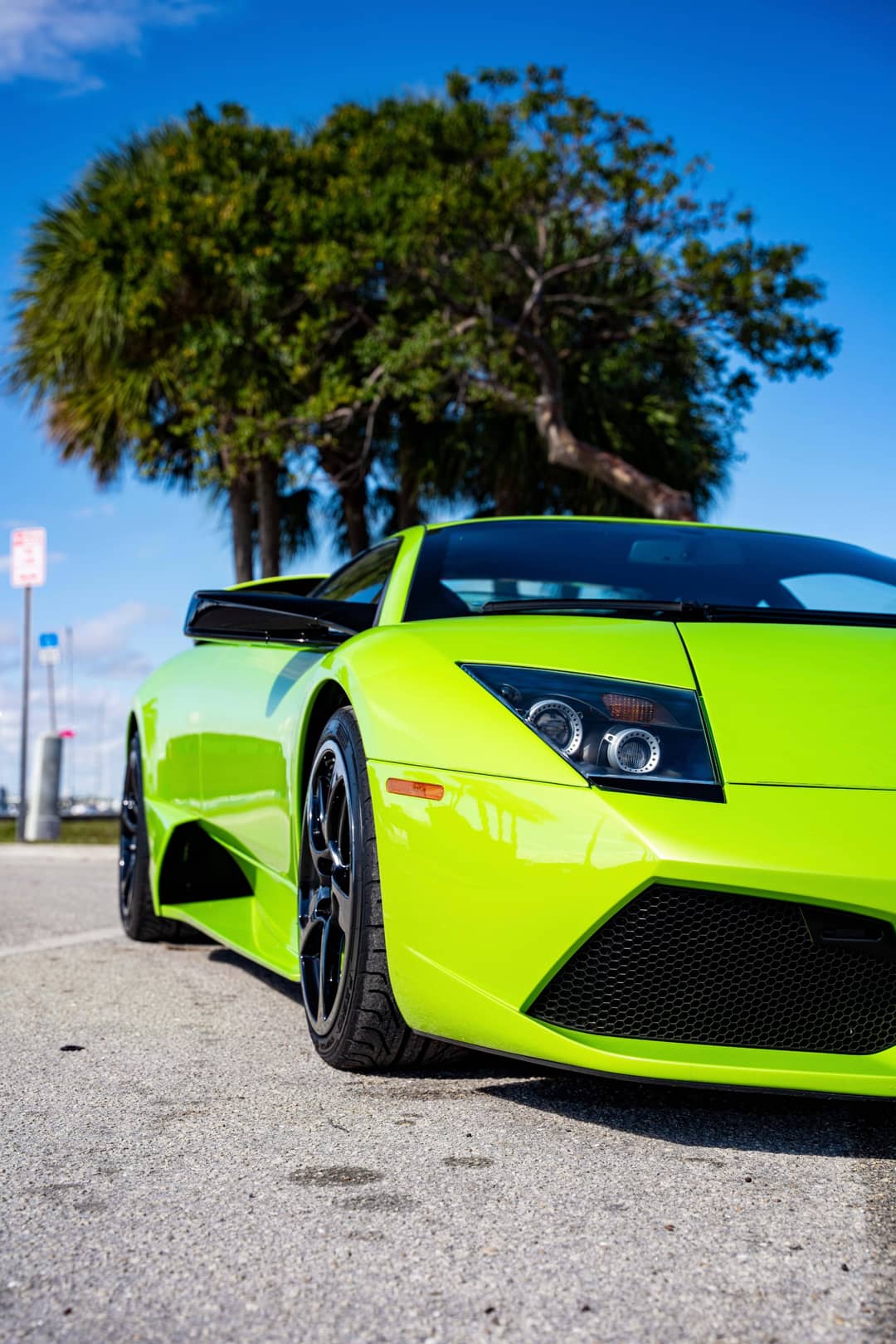 2008 Lamborghini Murcielago LP 640 — photo 3