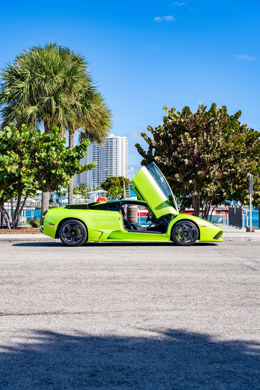 2008 Lamborghini Murcielago LP 640 — photo 23