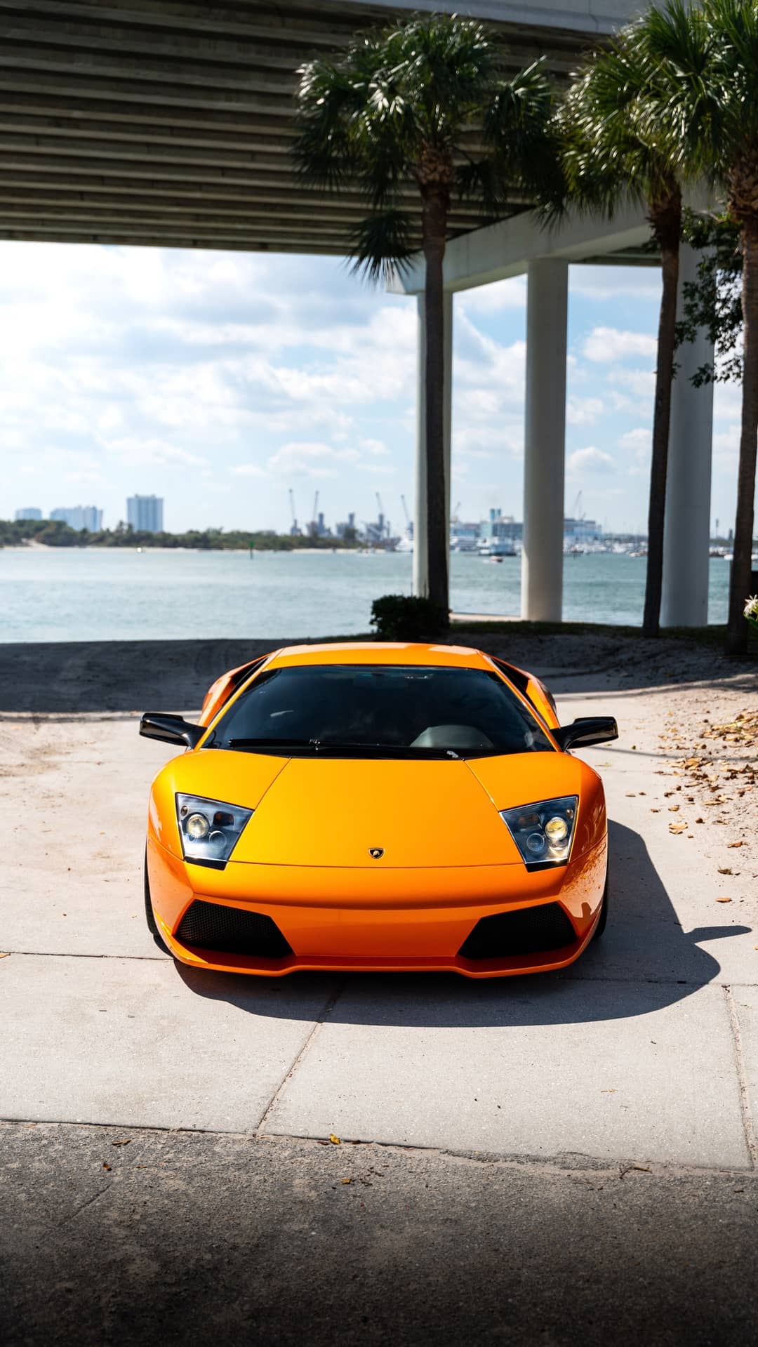 2007 Lamborghini Murcielago LP 640 — photo 38