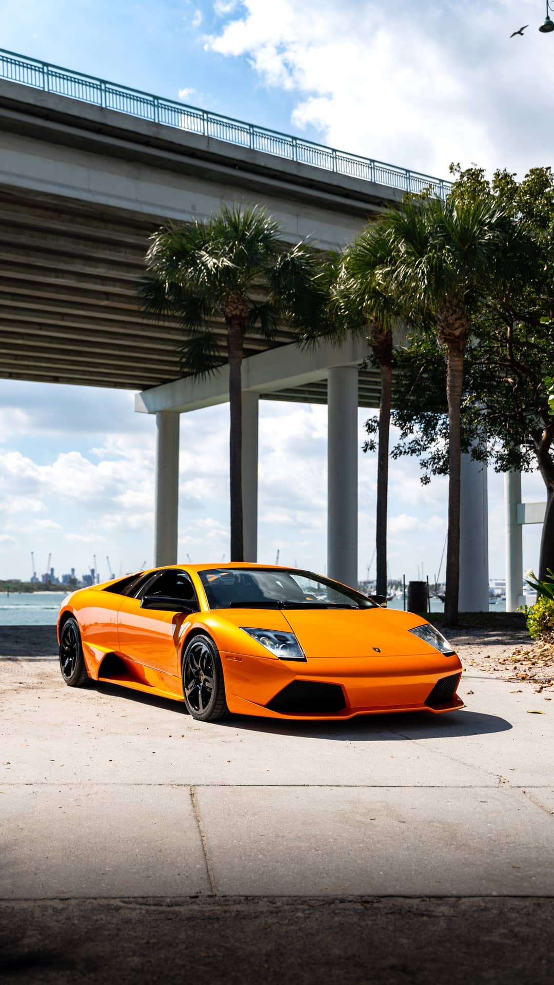 2007 Lamborghini Murcielago LP 640 — photo 45