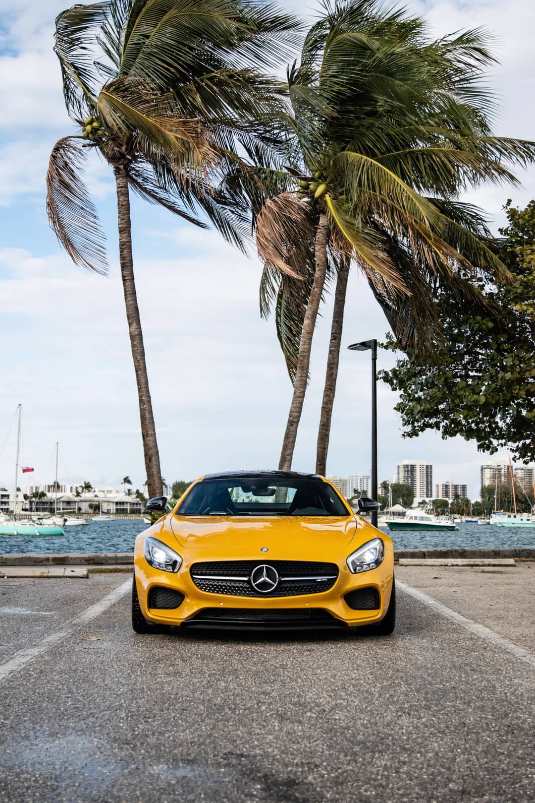 2016 Mercedes-Benz AMG GT S — photo 4
