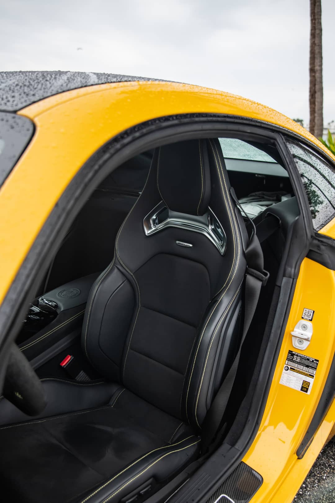 2016 Mercedes-Benz AMG GT S — photo 30
