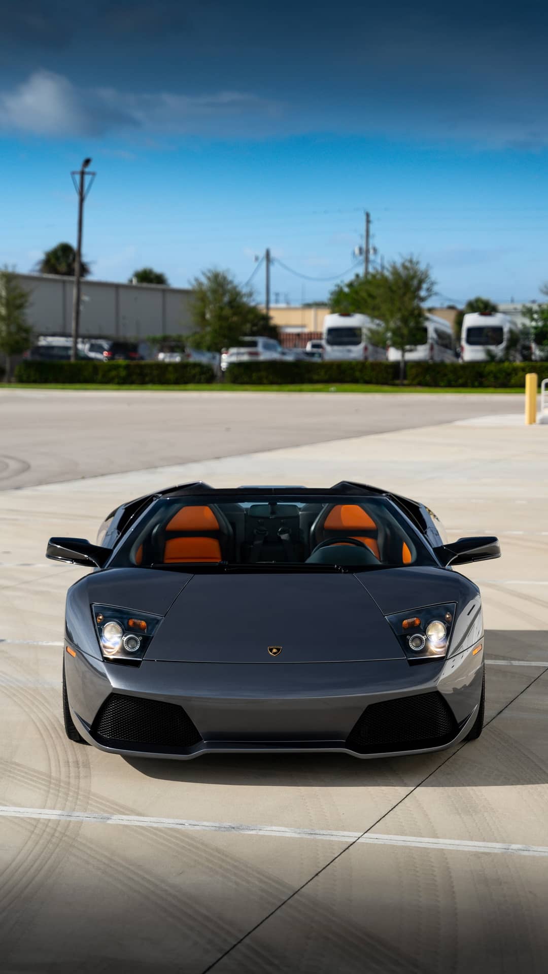 2008 Lamborghini Murcielago Roadster — photo 2