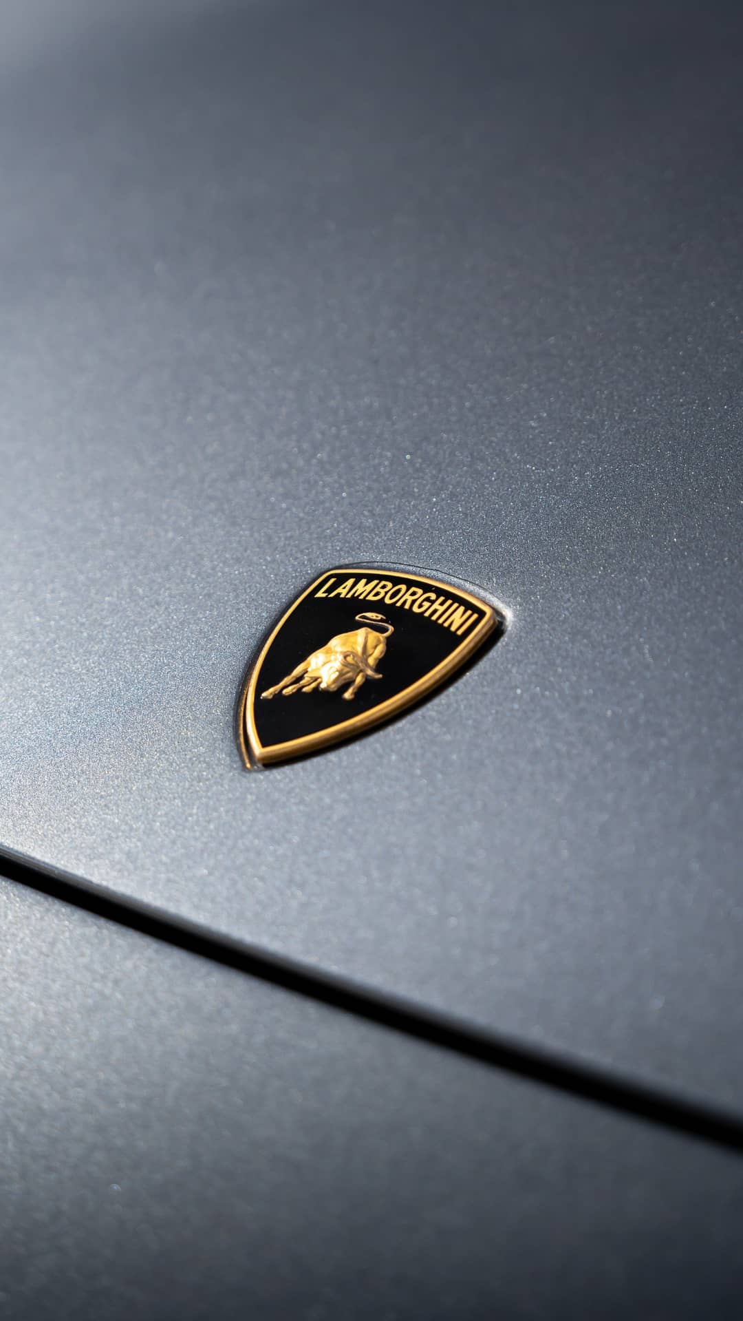 2008 Lamborghini Murcielago Roadster — photo 16