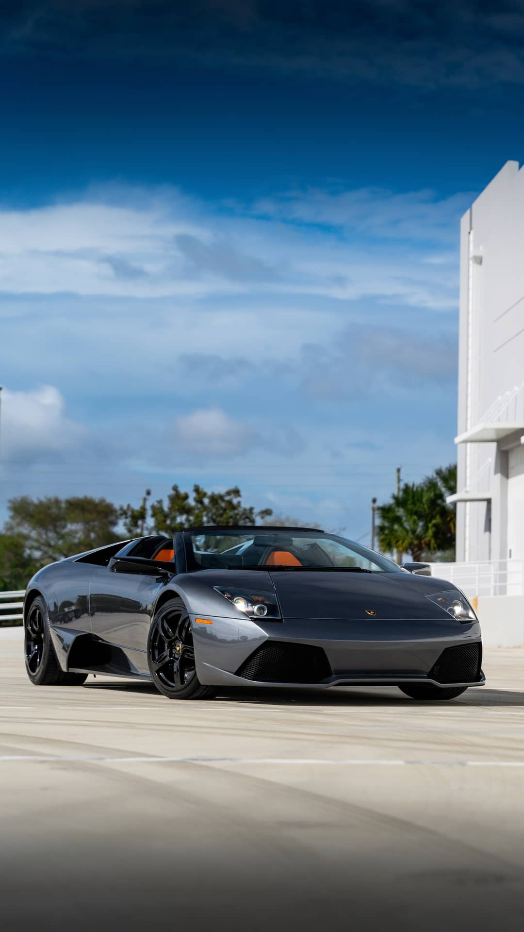 2008 Lamborghini Murcielago Roadster — photo 17