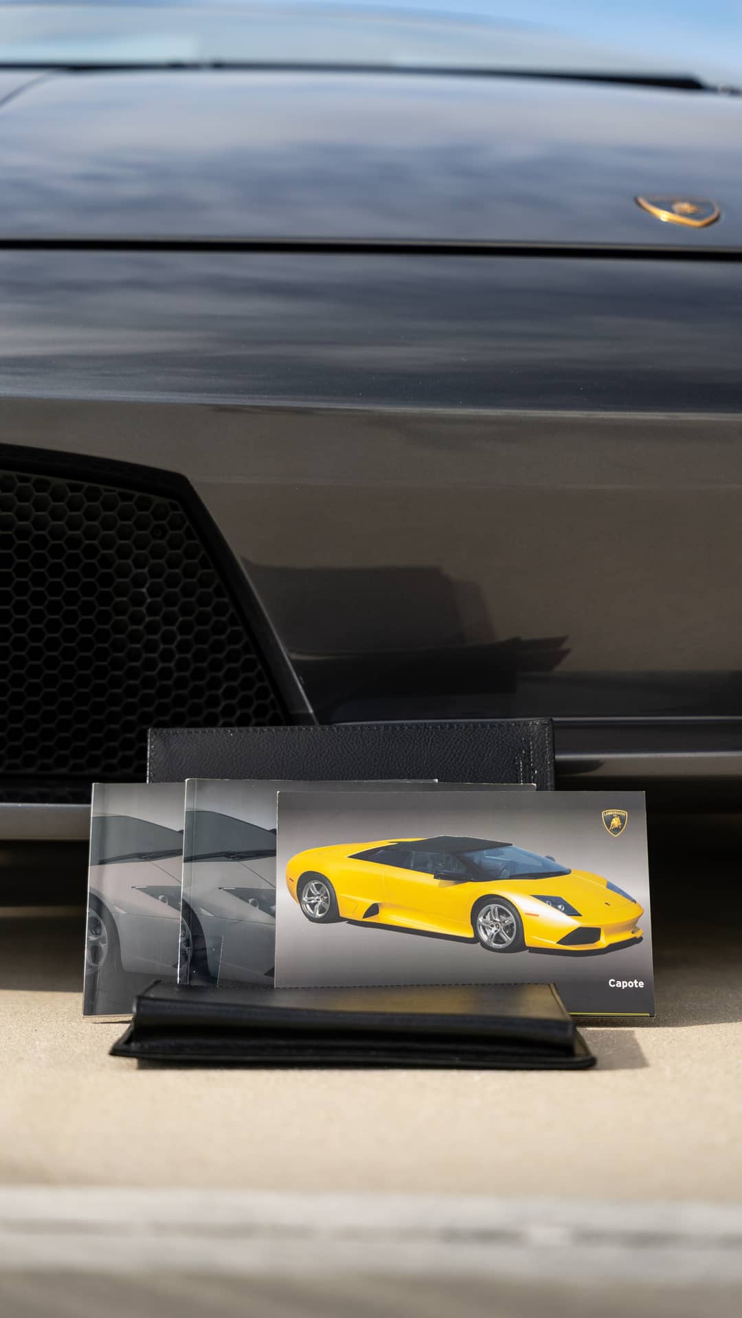 2008 Lamborghini Murcielago Roadster — photo 23