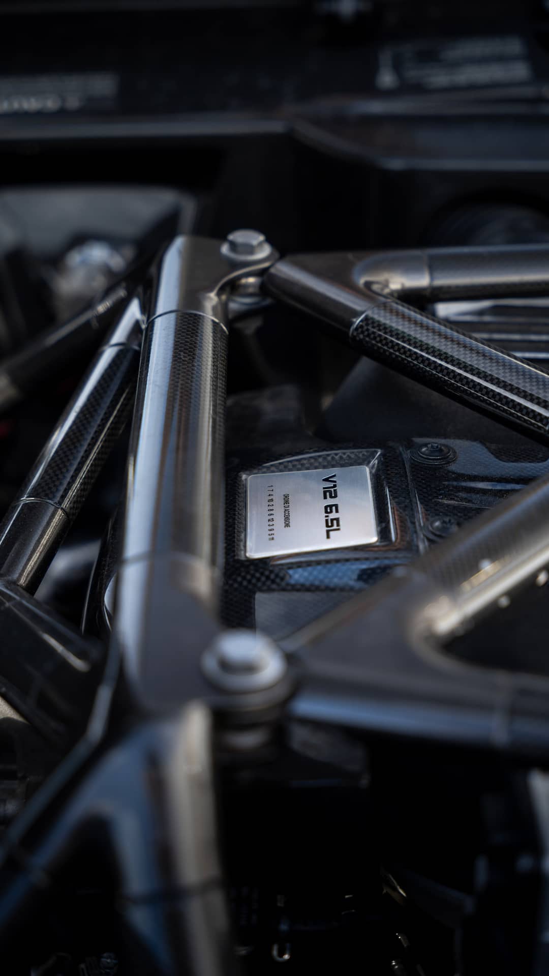 2008 Lamborghini Murcielago Roadster — photo 26