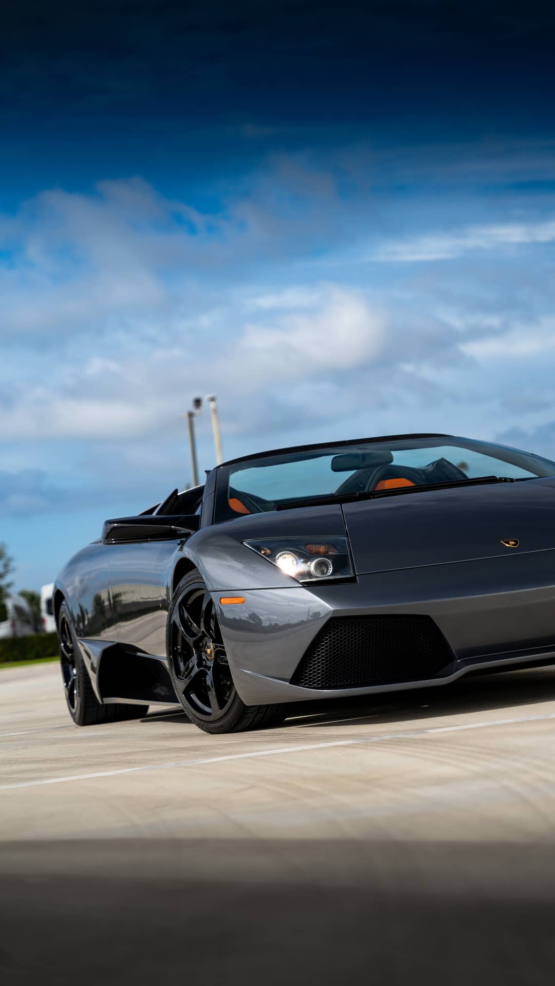 2008 Lamborghini Murcielago Roadster — photo 5