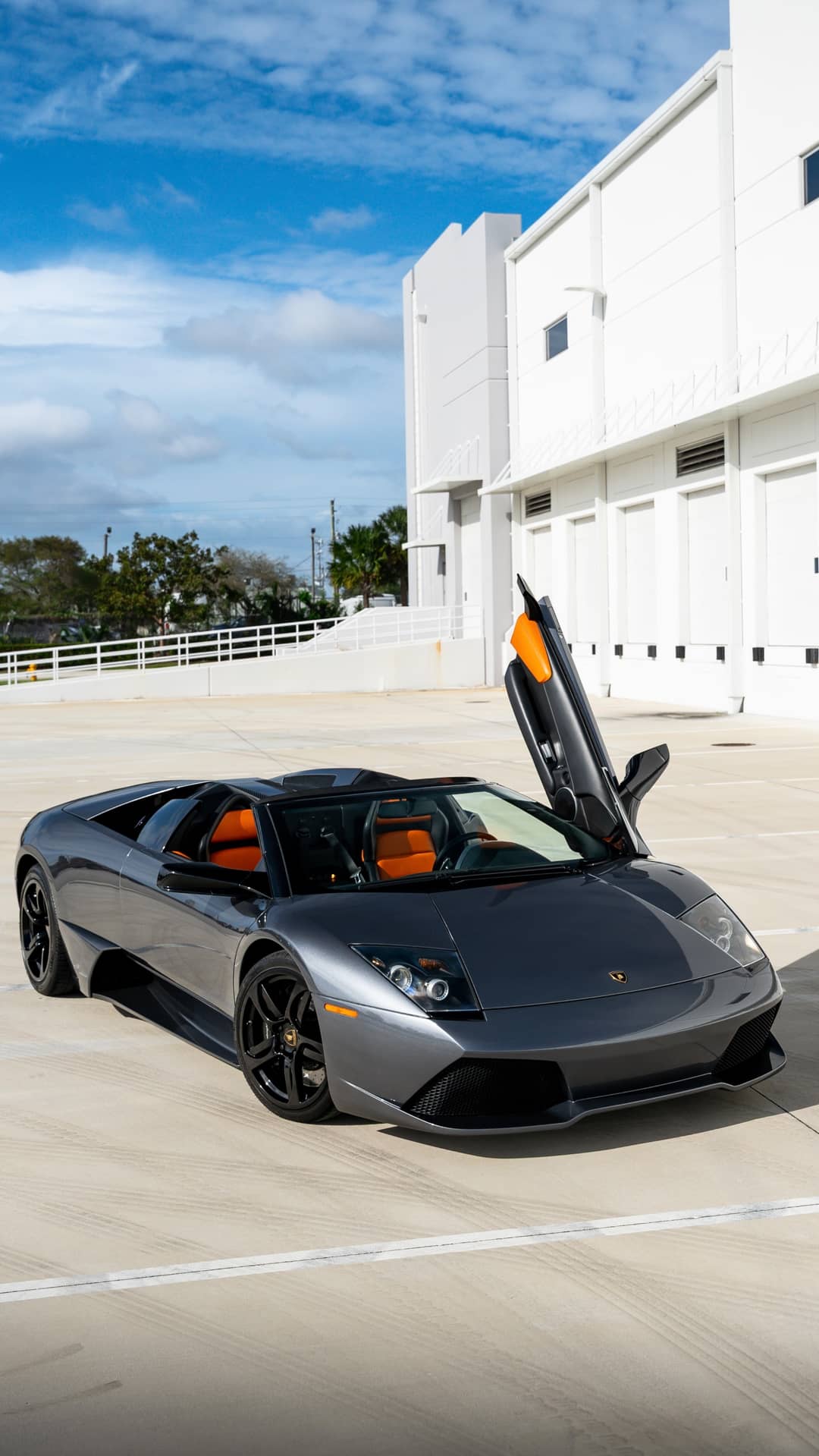 2008 Lamborghini Murcielago Roadster — photo 8