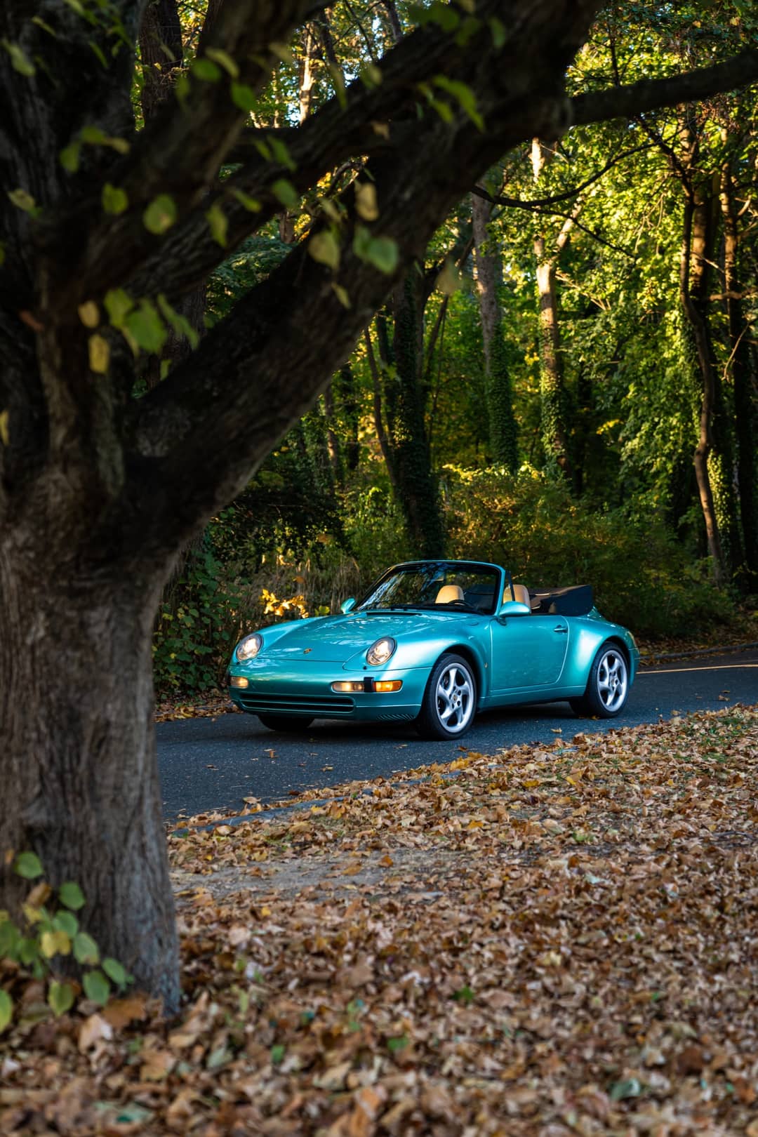 1997 Porsche 911 Carrera — photo 41
